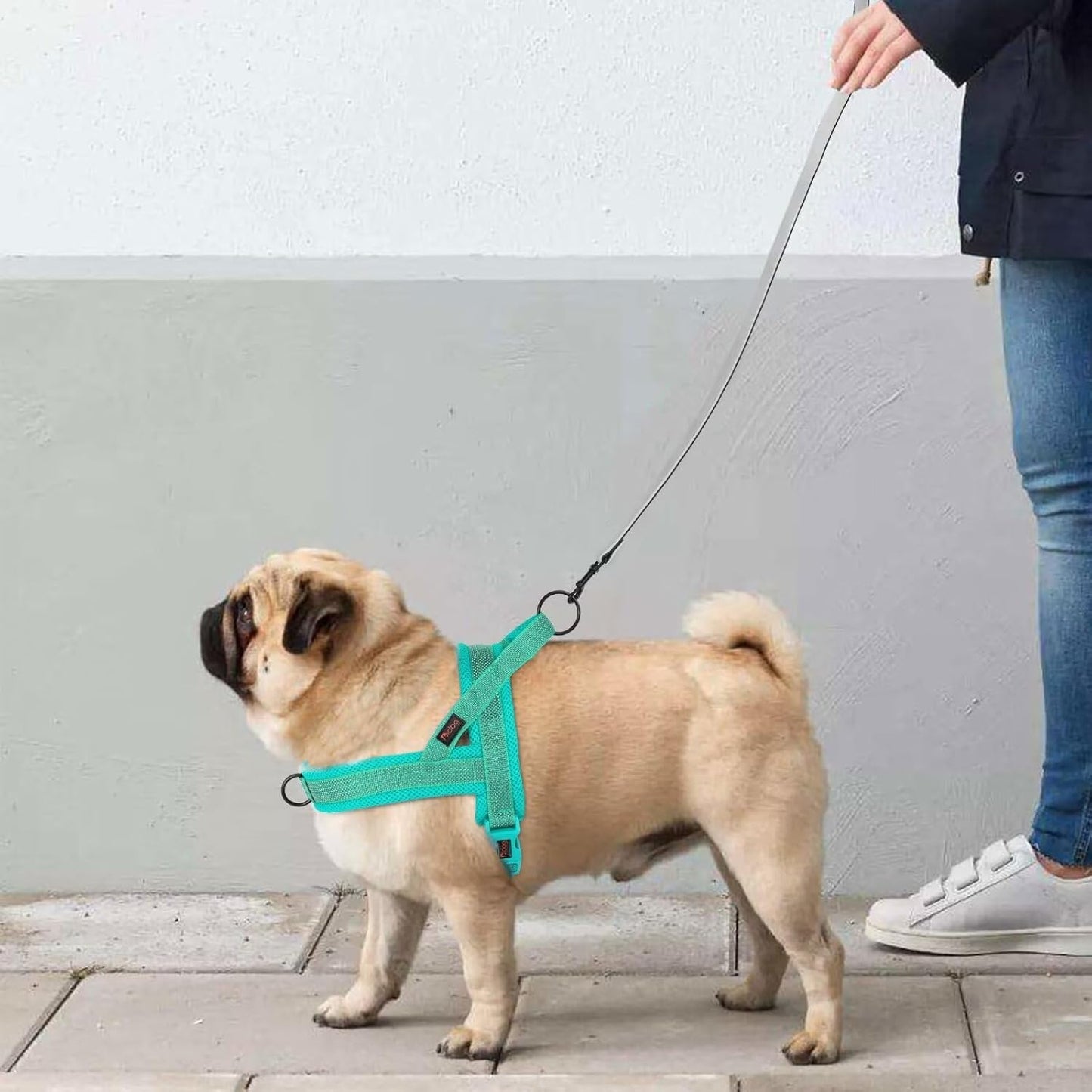 Didog No Pull Dog Harness with Breathable Mesh Padded, Full Reflective & Quick Fit Adjustable Vest Harness, Easy for Training Walking for Small & Medium and Large Dogs (Green, L:Chest 26-32")
