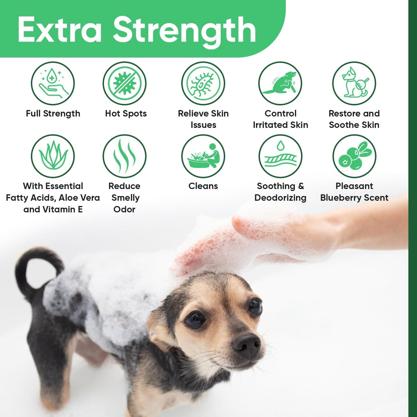 Topical Chlorhexidine 4% Shampoo for Dogs, Cats & Horses (Gallon)- with Aloe for Cleansing (USA) (Chlorhexidine 4% Shampoo, 1 Gallon)