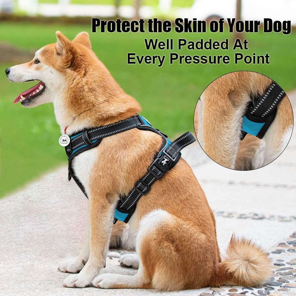 PoyPet No Pull Dog Harness, Reflective Comfortable Vest Harness with Front & Back 2 Leash Attachments and Easy Control Handle Adjustable Soft Padded Pet Vest for Small to Large Dogs (Blue,XS)