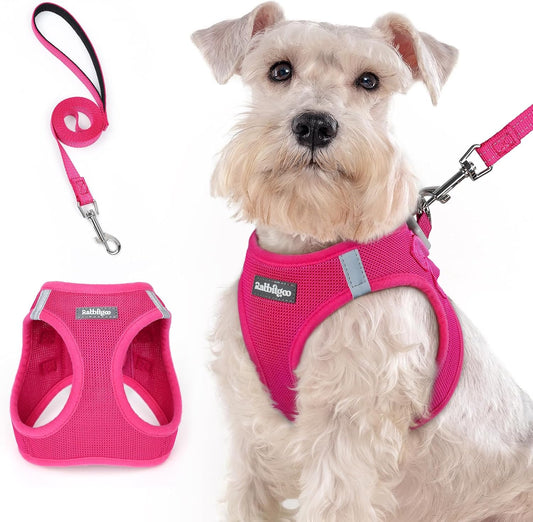 rabbitgoo Dog Harness Medium Sized and Leash Set, Step in Soft Light Puppy Vest, Breathable Mesh Pet Harness, Reflective for Safe Easy Walking, Rosa Red XXL