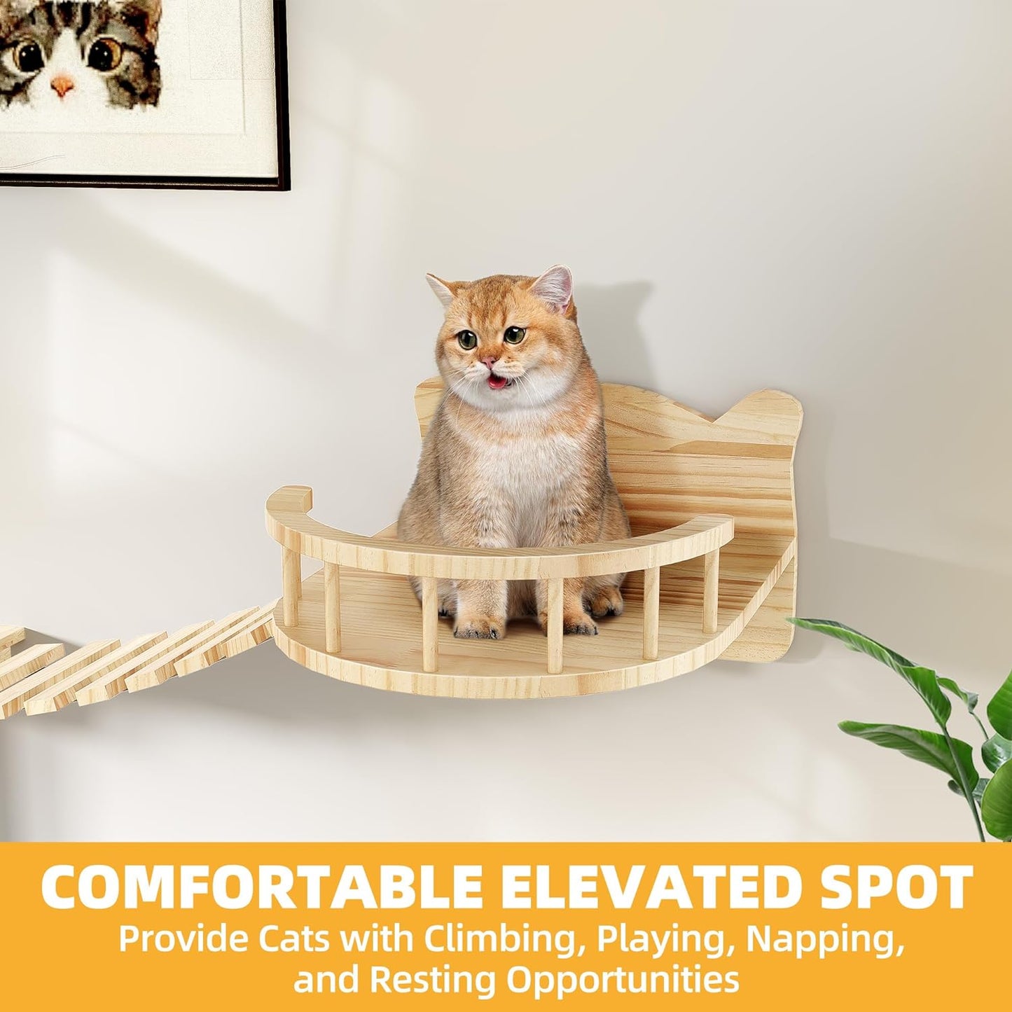 Cat Wall Shelves, Cat Wall Furniture Pine Wooden Feline Shelf, 9 Piece Shelves and Perches with Bed, House, Steps, Bridge Ladder and Scratching Post