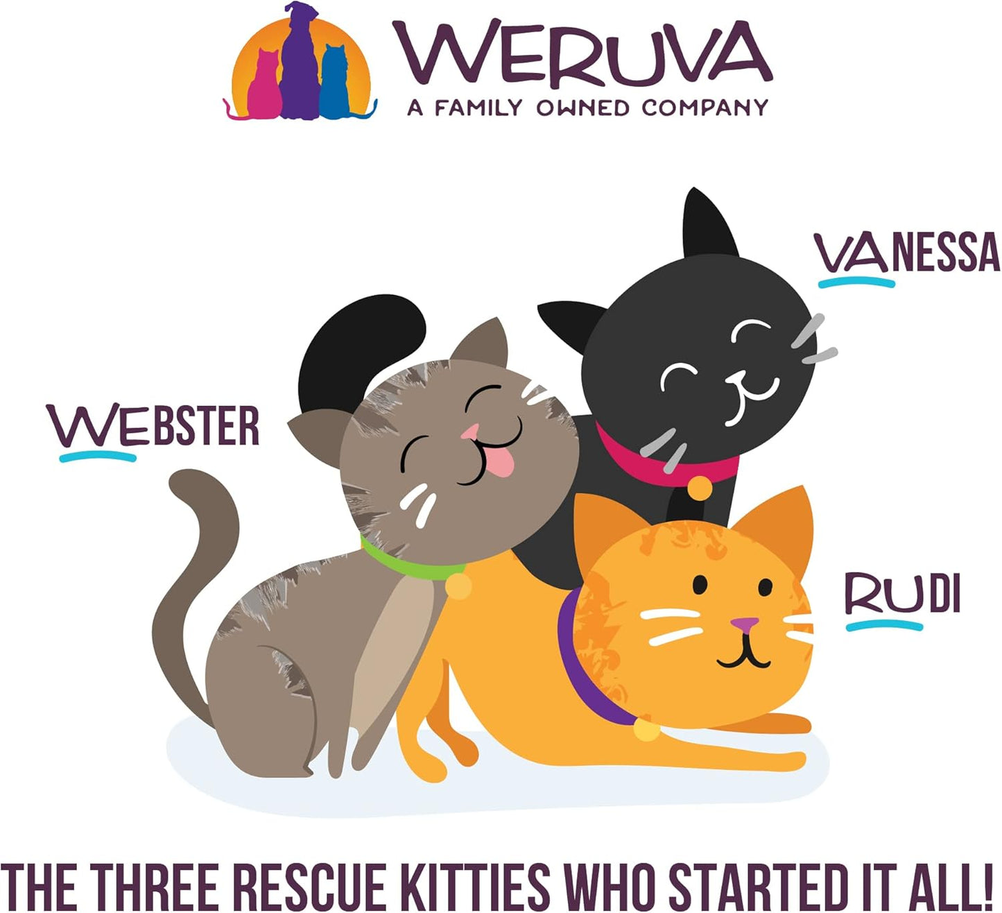 Weruva B.F.F. Play - Best Feline Friend Paté Lovers, Aw Yeah!, Turkey & Tuna Tweet Me! with Turkey & Tuna, 2.8oz Can (Pack of 12)