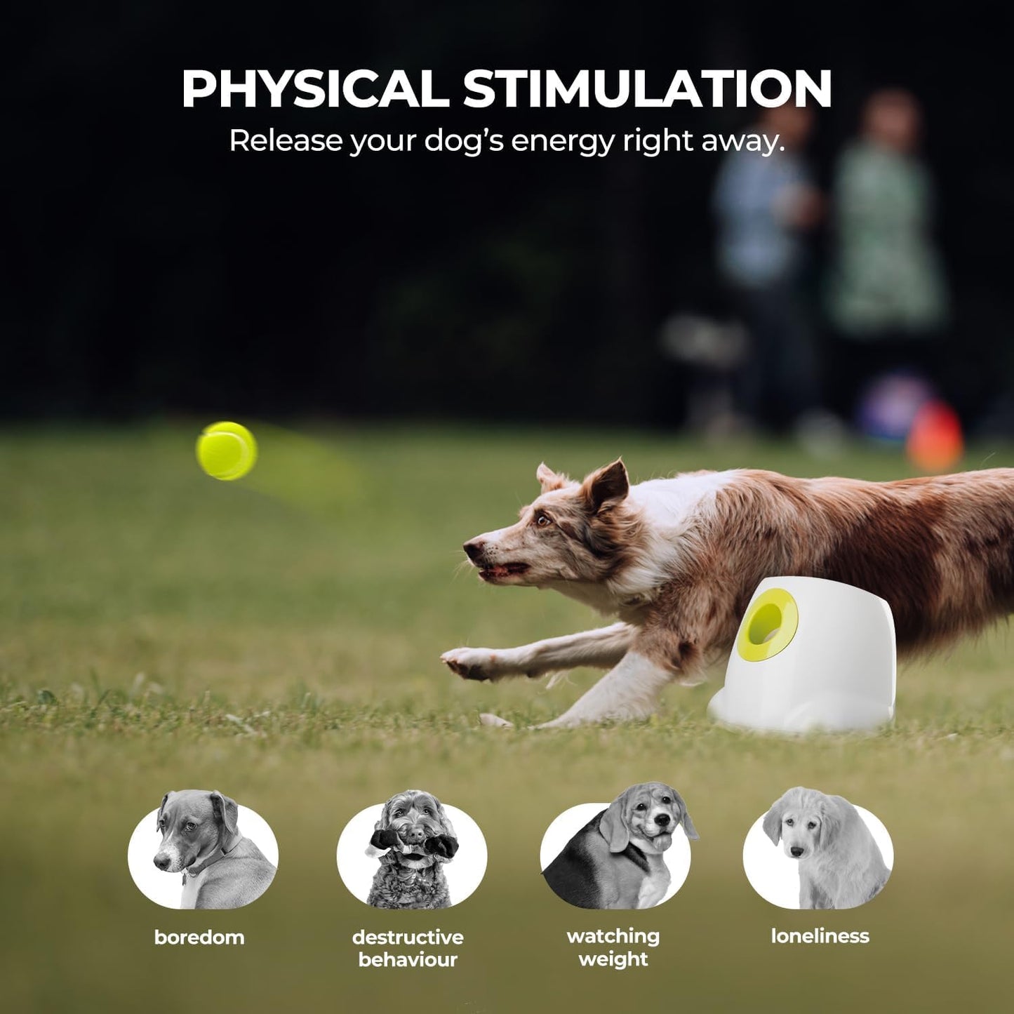 ALL FOR PAWS Automatic Dog Ball Launcher for Medium to Large Dogs, Interactive Tennis Ball Thrower, Rechargeable Dog Toy Mental Stimulation Training Game for Energetic Dogs