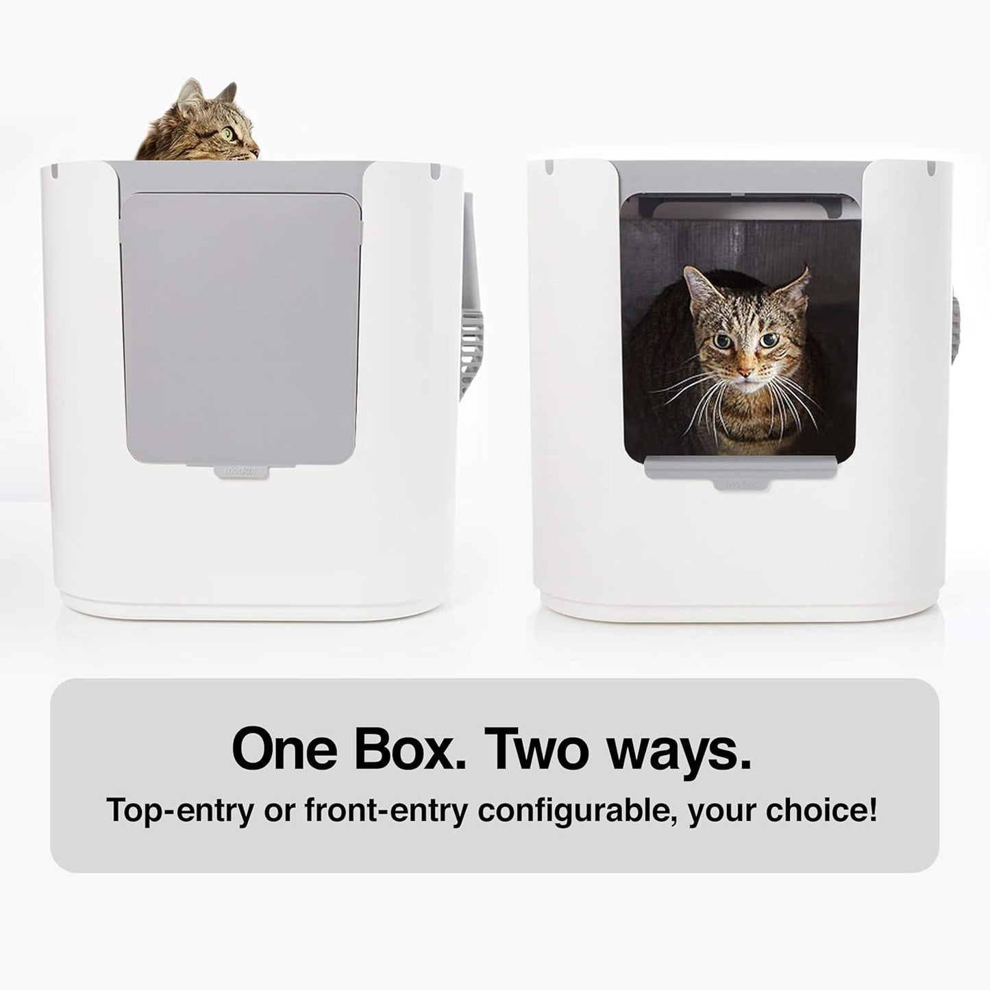 Modkat® XL Litter Box, Top or Front-Entry Configurable, Full Height Seamless Base, Reusable Litter Liners, Sifting Litter Scoop, 2X Bamboo Charcoal Filters - White