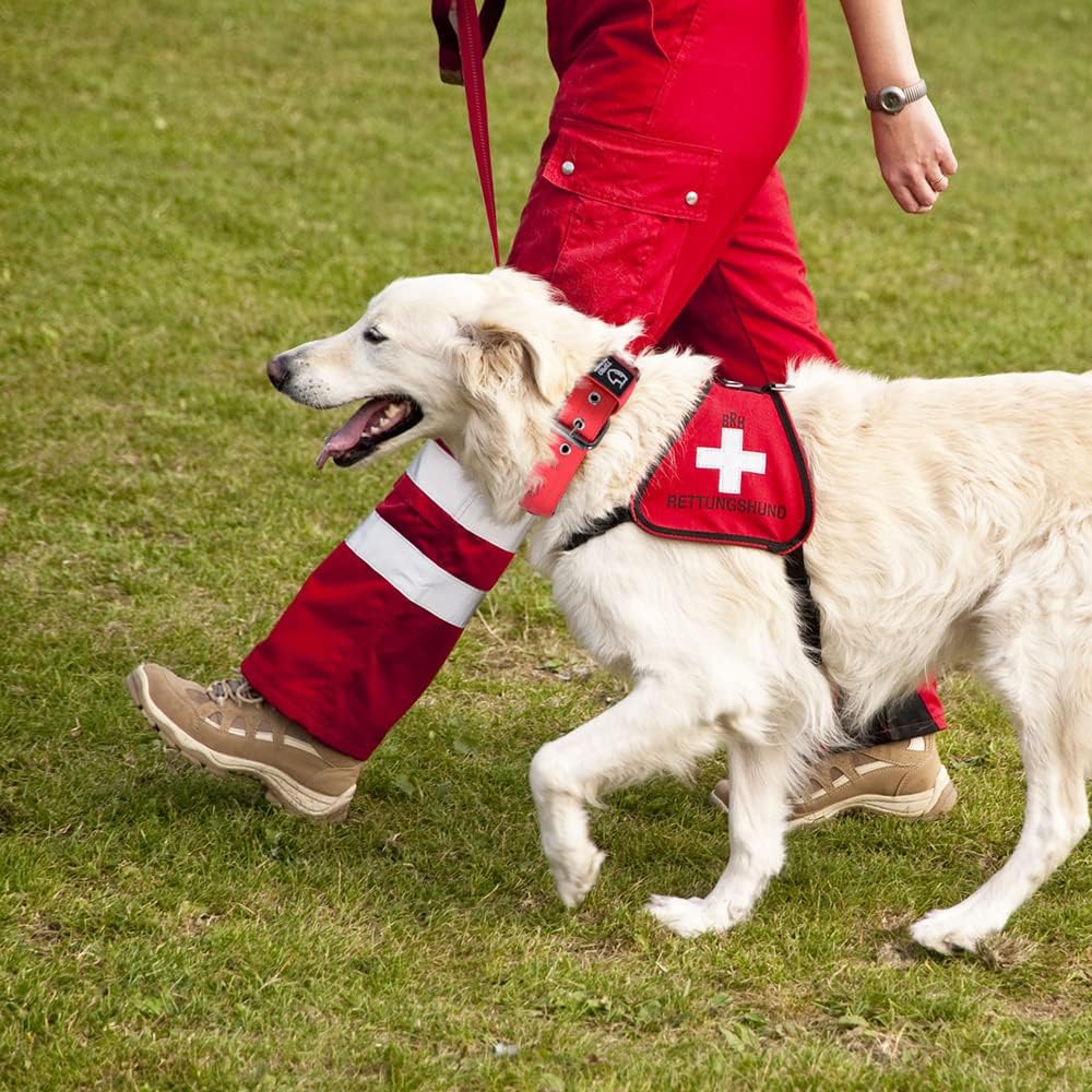 TSPRO Tactical Dog Collar 1.5 Inch Wide Thick Dog Collars with Heavy Duty Metal Buckle, Durable, Strong, Adjustable for Medium to Large Dogs (Red L)