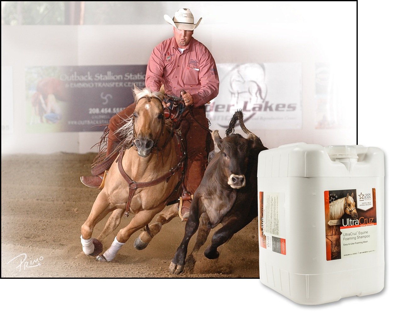 UltraCruz® Equine Foaming Shampoo, 5 Gallon