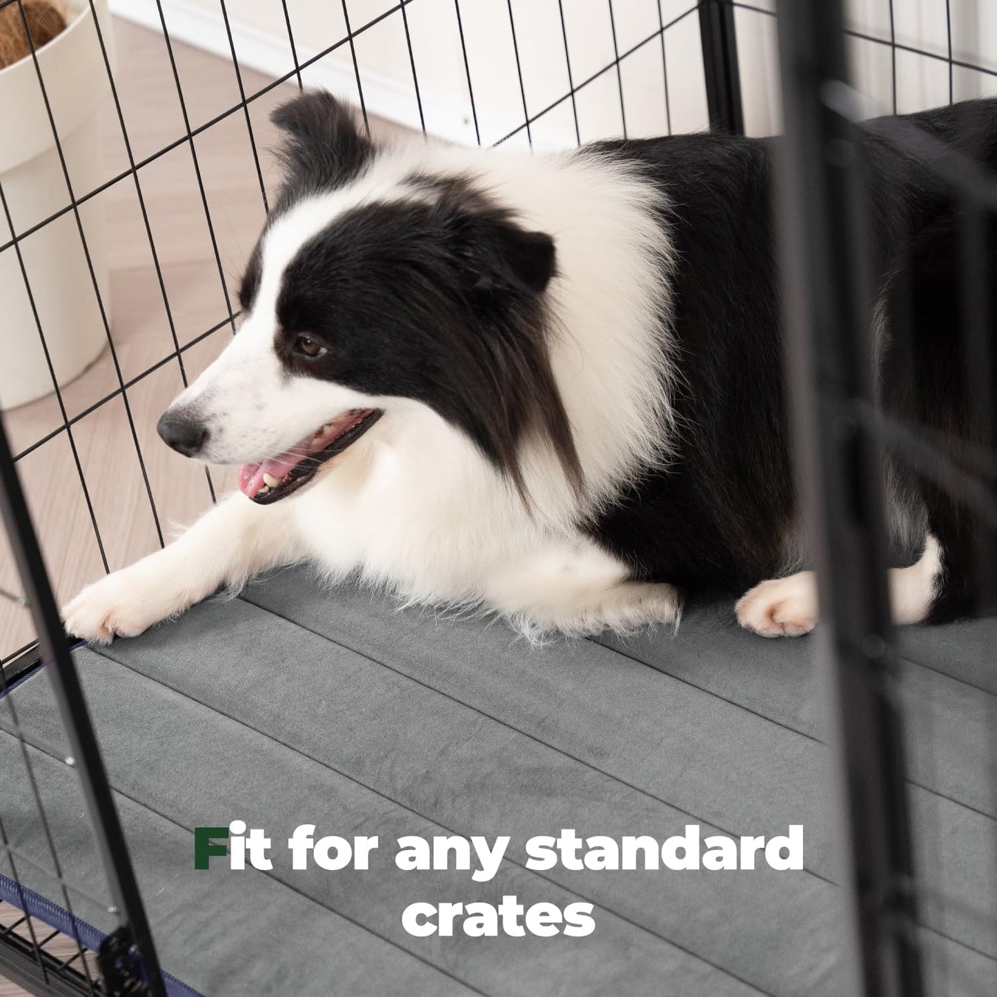 BALANCE Dog Crate Pad, Dog Foam Crate Mat Kennel Pad, Washable Water-Resistant Pet Bed Flat Dogs Cage Mat for Medium Dogs, 2 Packs