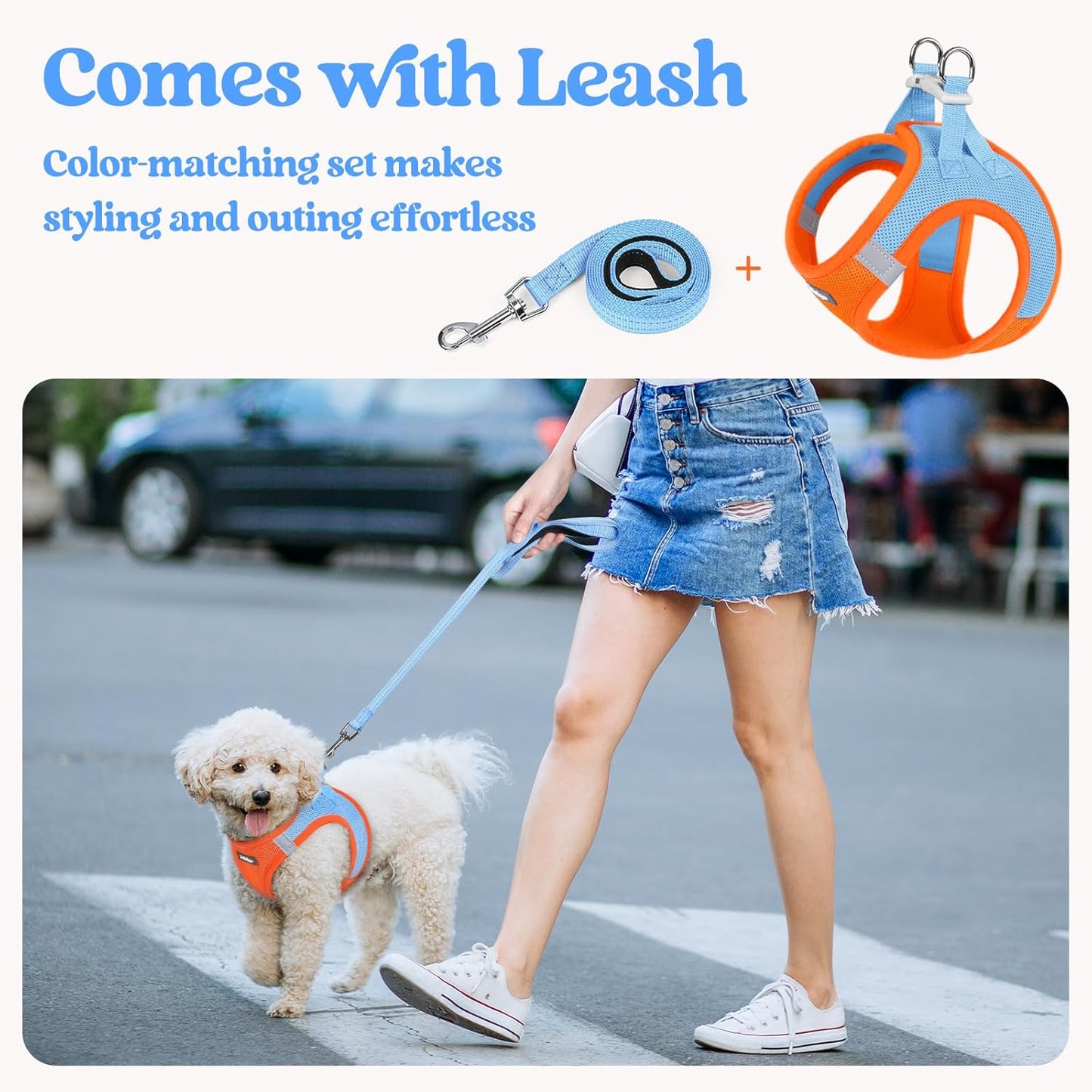 rabbitgoo Dog Harness Small Sized and Leash Set, Step in Soft Light Puppy Vest, Breathable Mesh Pet Harness, Reflective for Safe Easy Walking, Blue & Orange M