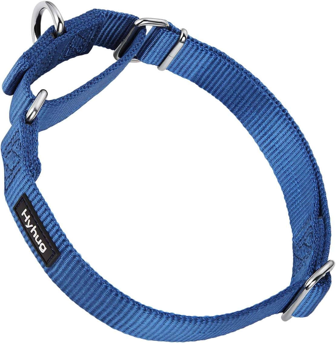 Hyhug Pets Premium Upgraded Heavy Duty Nylon Anti-Escape Martingale Collar for Boy and Girl Dogs Comfy and Safe - Professional Training, Daily Use Walking. (Large, Classic Blue)