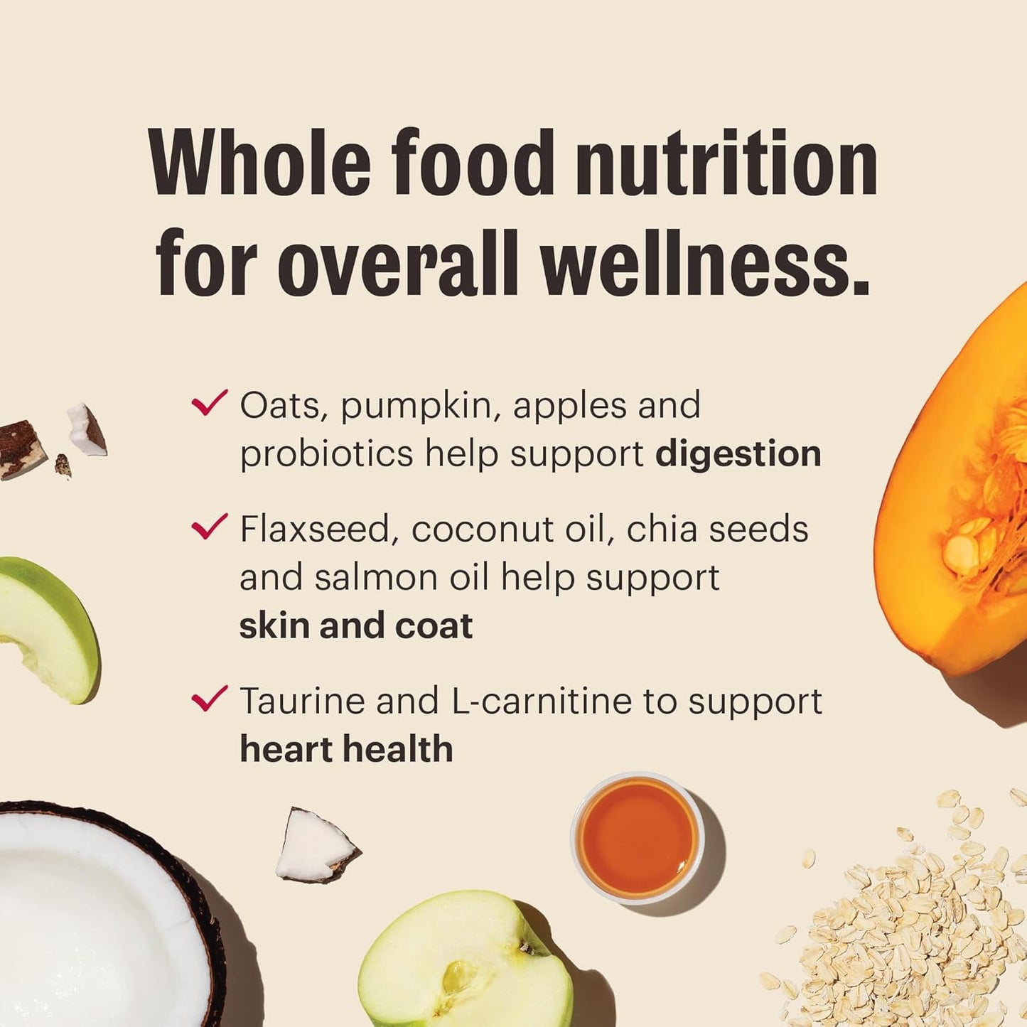 The Honest Kitchen Whole Food Clusters Whole Grain Beef & Oat Dry Dog Food, 1 lb Bag