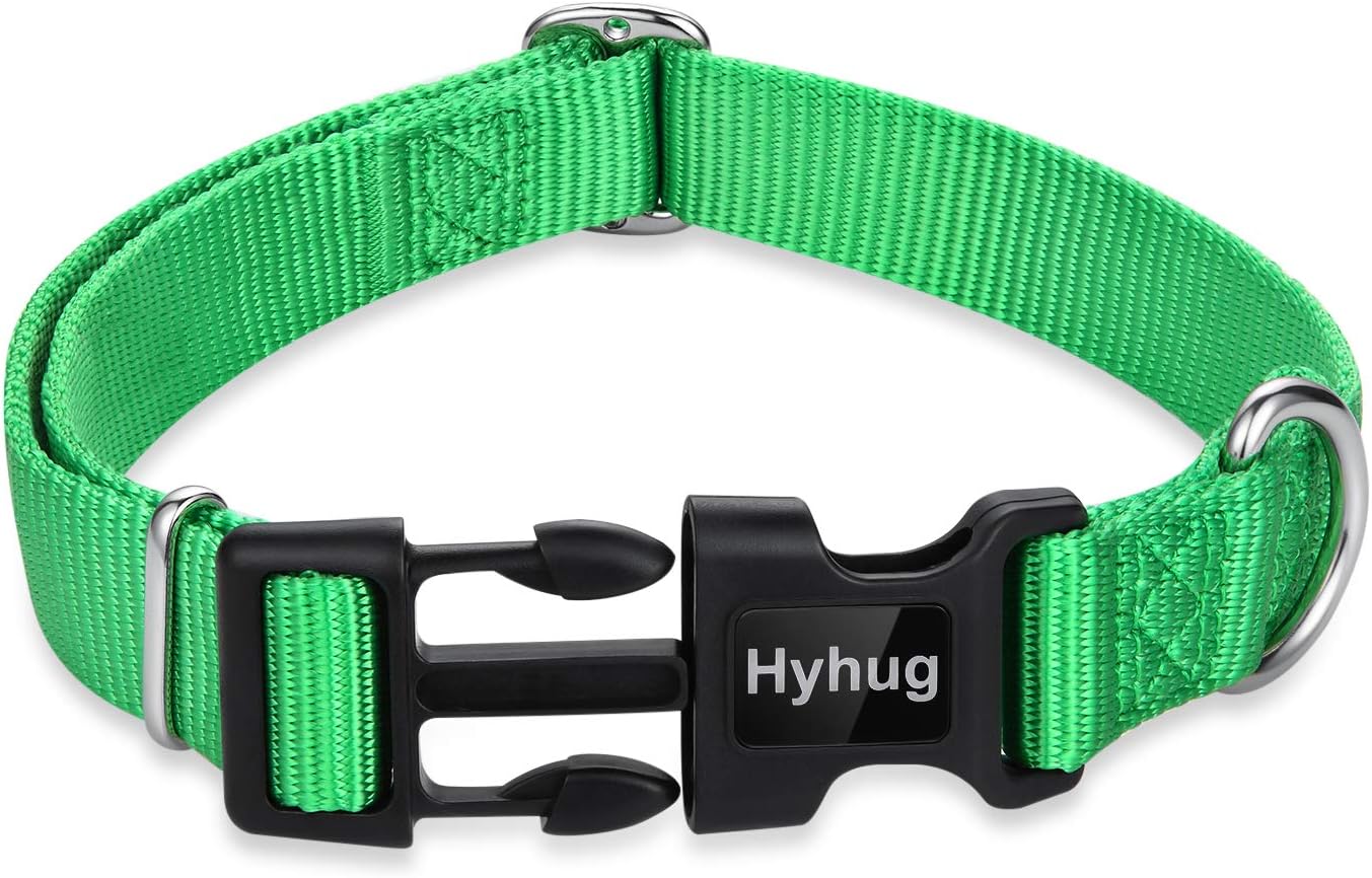 Hyhug Pets Classic Regular Dog Collar with Easy to Put On and Off Buckle. (Large, Lime Green)