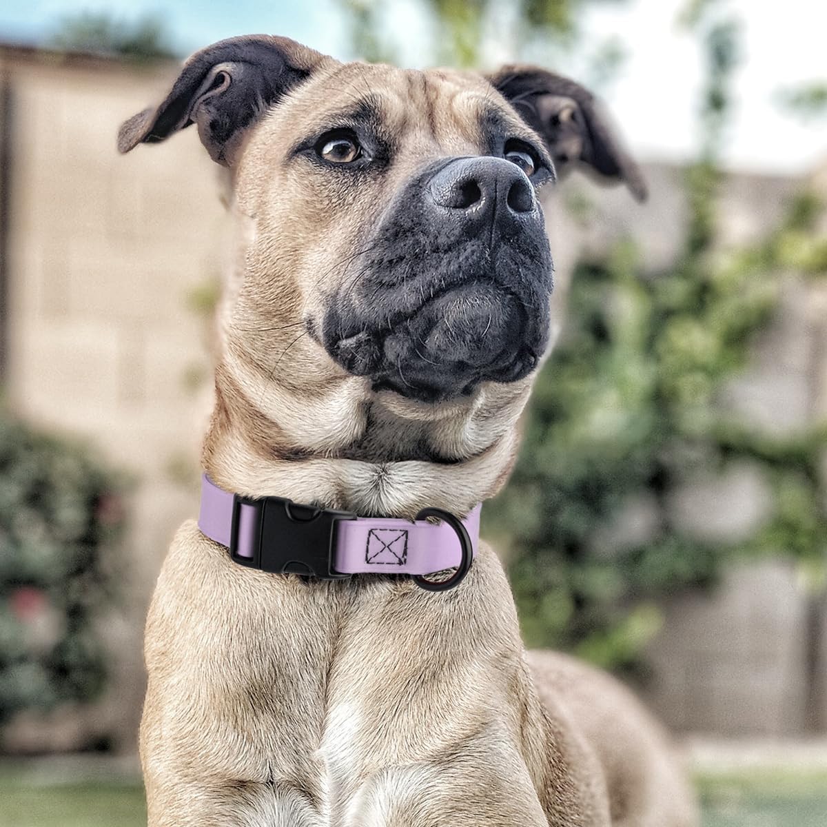 Dogline Biothane Waterproof Dog Collar with Quick Release Buckle Strong Coated Nylon Webbing with Odor- Proof for Easy Care Easy to Clean Fits Small Medium Large Dogs, Lavender 1" W 15-23" L