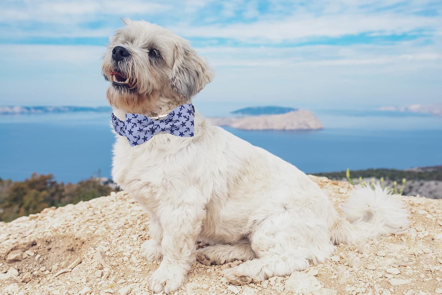 Lionet Paws Dog Collar with Bowtie, Summer Bowtie Collar for Dog,Adjustable Comfortable Dog Collar Gift for Puppy Small Medium Large Dog