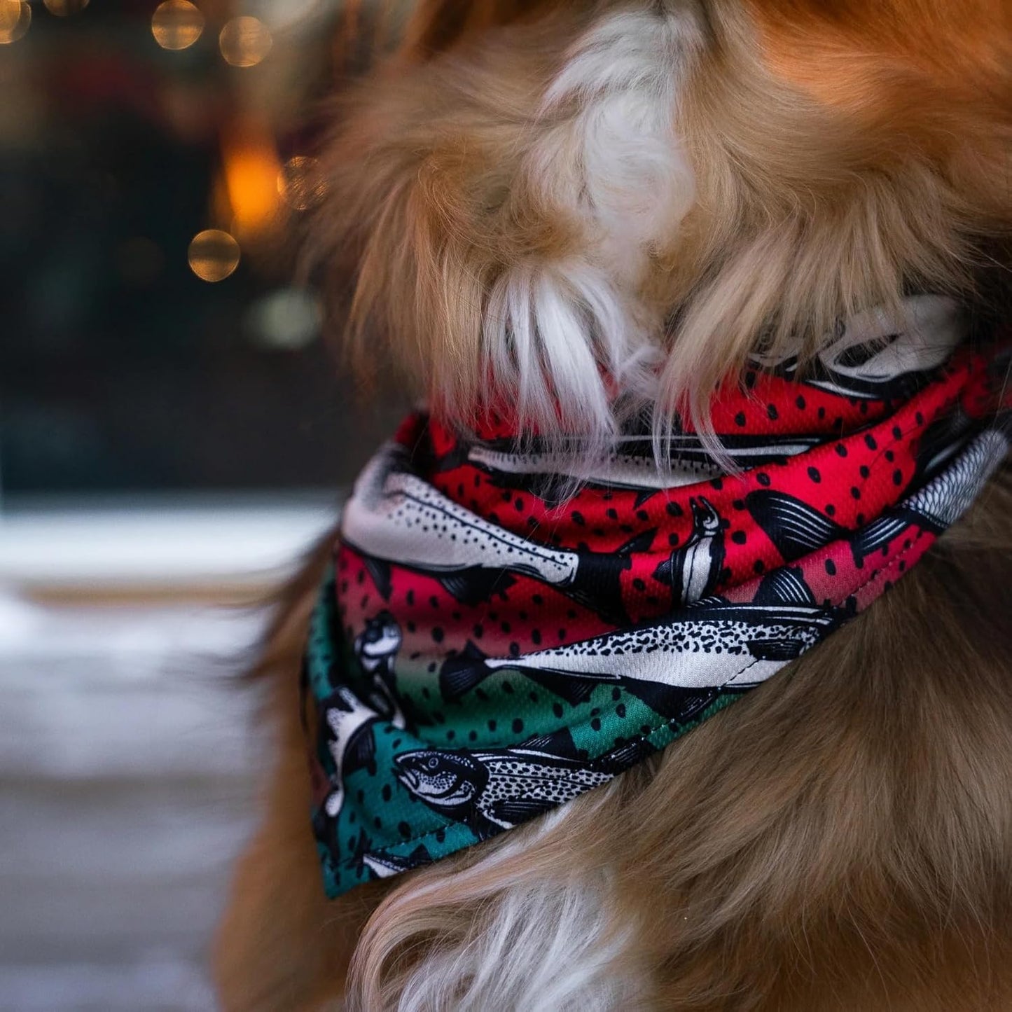 Wilderdog Dog Bandana with Lightweight Quick Drying Poly-Blend Mesh Material in Gone Fishing