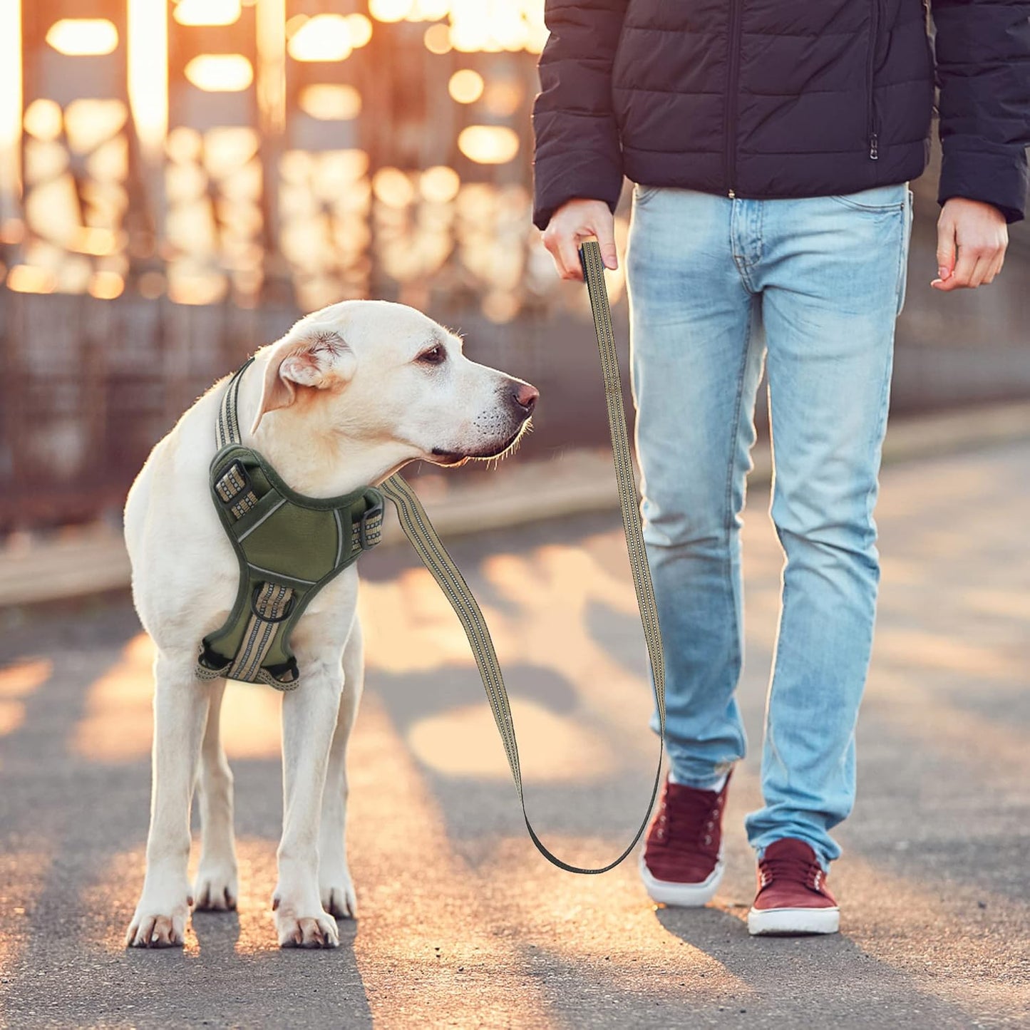 No Pull Dog Harness for Small Dogs, Adjustable No Choke Pet Vest with Dog Leash Fit Smart Reflective Pet Walking Harness for Training Easy Control Soft Handle Green S