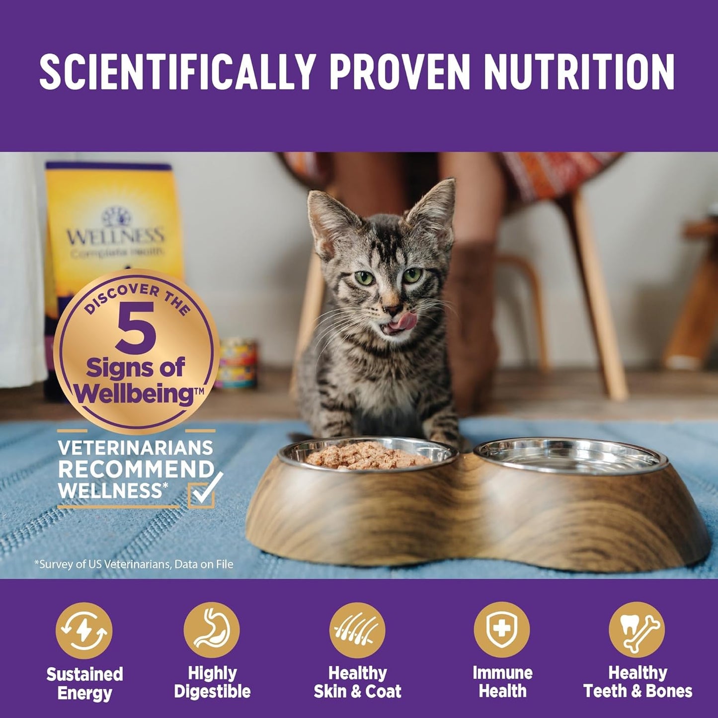 Wellness Complete Health Natural Grain Free Wet Canned Cat Food, Chicken & Lobster Pate, 5-Ounce Can (Pack of 24)