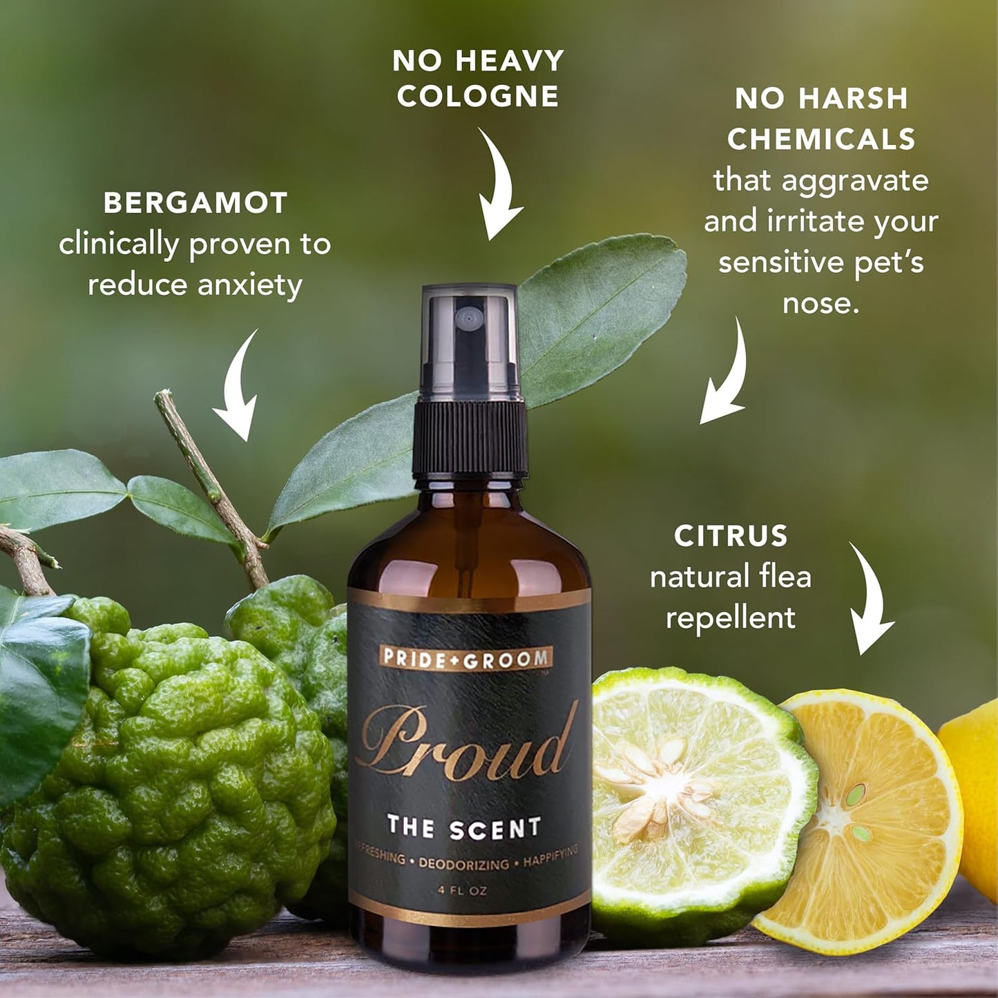 Pride and Groom Proud – Long Lasting Luxurious Dog Grooming Spray & Pet Deodorizer with Uniquely Uplifting, Fresh and Clean Signature Scent, Safe for Sensitive Skin & Noses – 4 fl oz