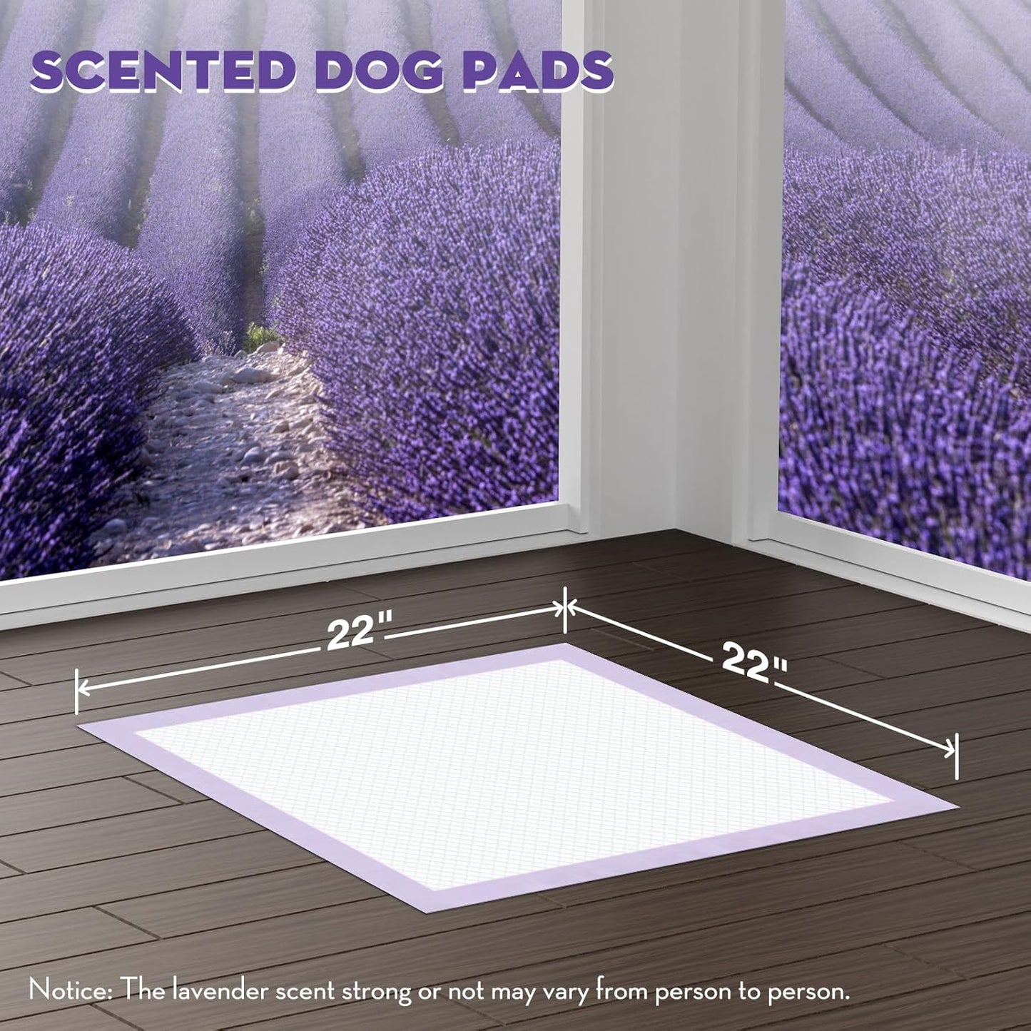 CROCI Puppy Pads 22x22in Small with Adhesive Tabs, Dog Pee Pads Absorbs Up to 3 Cups Potty Training, Disposable (50 Counts)