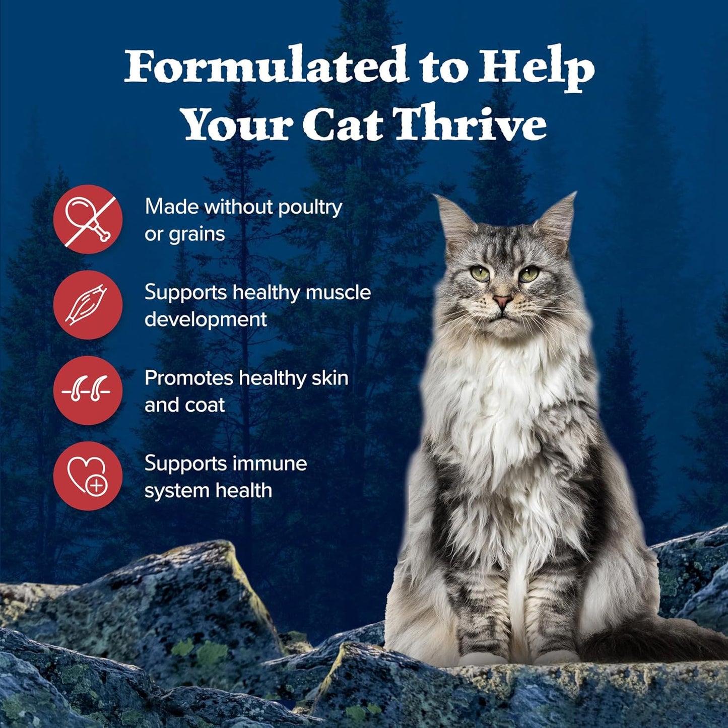 Blue Buffalo Wilderness Adult Dry Cat Food, Rocky Mountain Recipe, Chicken-Free & Grain-Free Recipe Made with Natural Ingredients, Red Meat, 4-lb Bag