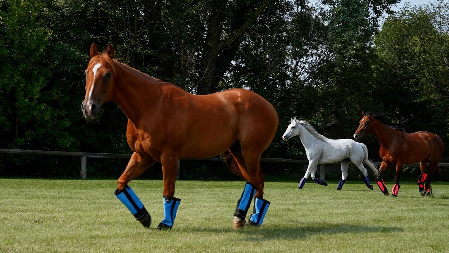 Warrior Fly Boots for Donkeys, Ponys, or Yearlings - Breathable Mesh Horse Boots for Fly Protection & Leg Comfort - Set of 4 (Mighty Warrior, Neon Orange)