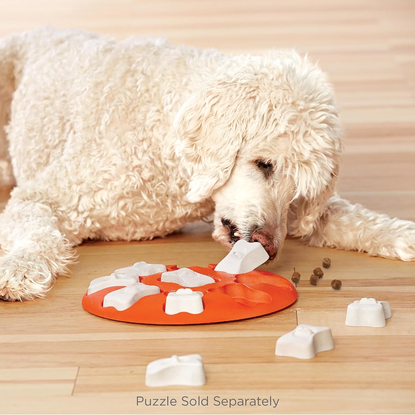 Outward Hound by Nina Ottosson Bone Replacement Parts for Interactive Dog Puzzles - DogBrick, DogTornado, DogSmart, PuppyTornado, PuppySmart, 5-Pack, White