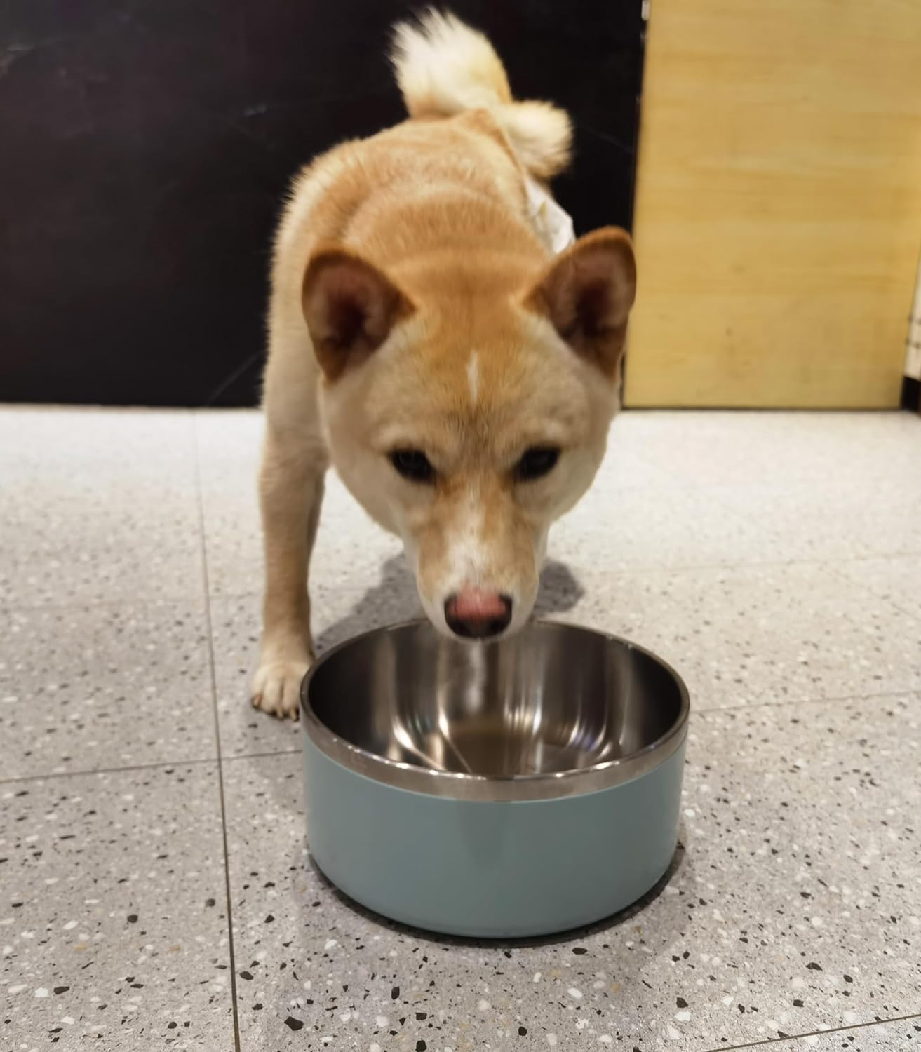Dog Bowl, Stainless Steel Dog Food and Water Bowl with Non Slip Quiet Bottom, Easy to Clean, Dishwasher Safe, 64oz, Light Grey