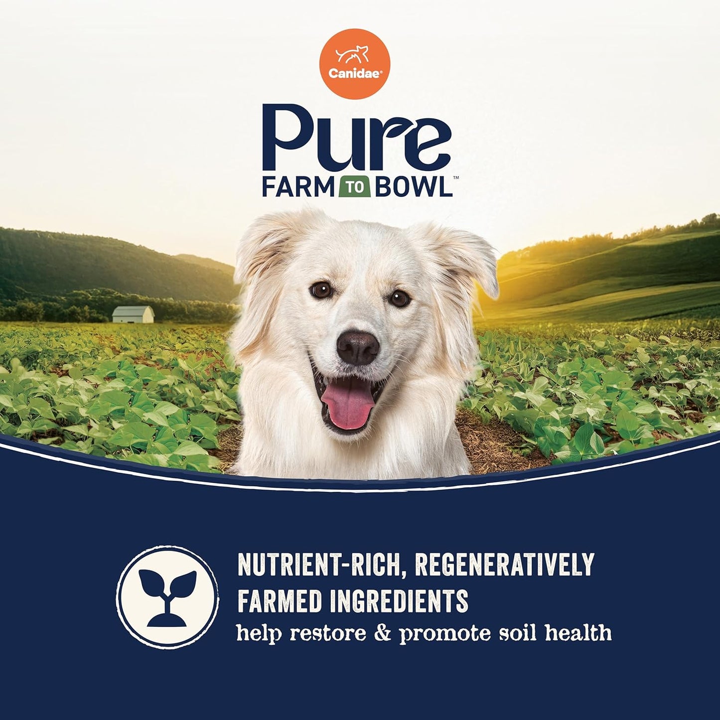 Canidae Pure Farm to Bowl Cage-free Duck & Sweet Potato, Adult, Grain-Free Dry Dog Food, 4lb