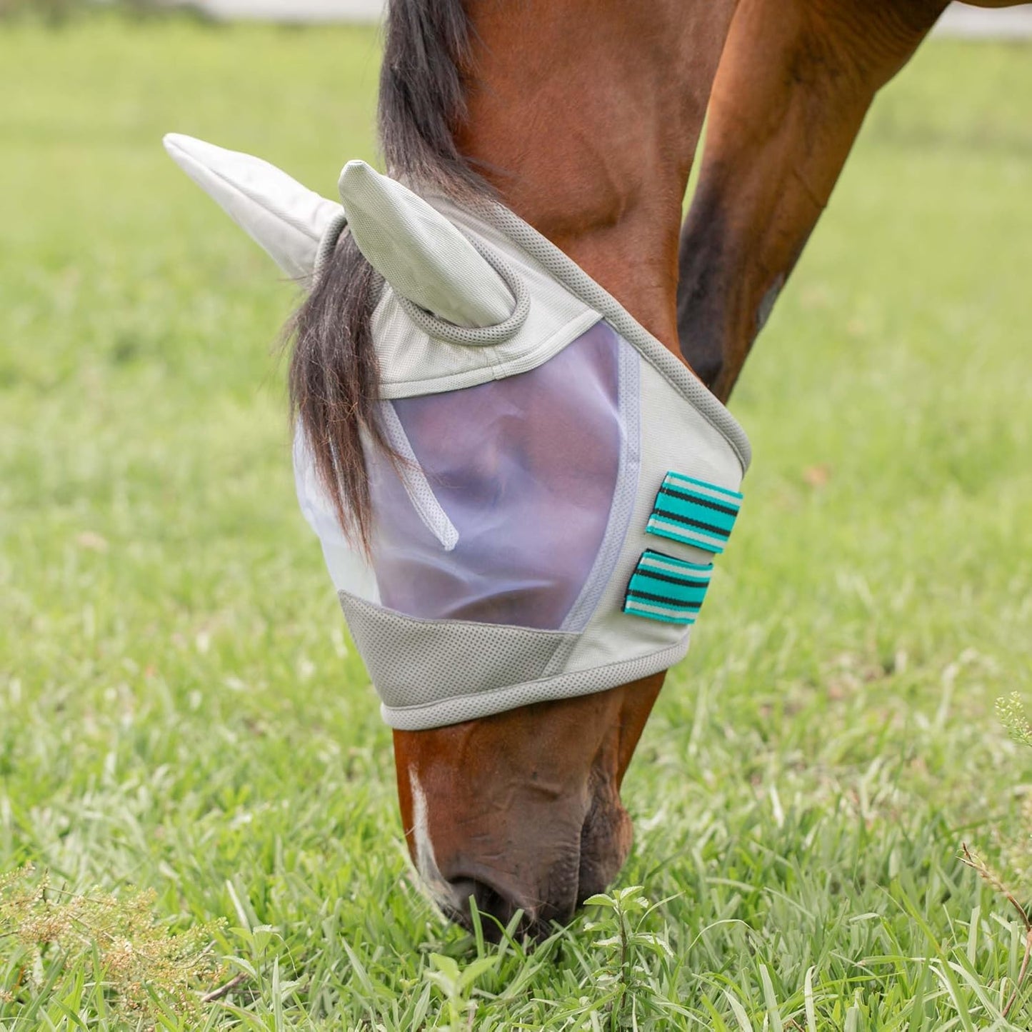 Equinavia Algard Soft Mesh Horse Fly Mask with Ear Protection and 45 UPF Rating | No Eye Irritation & UV Protection - Silver/Turquoise - Pony