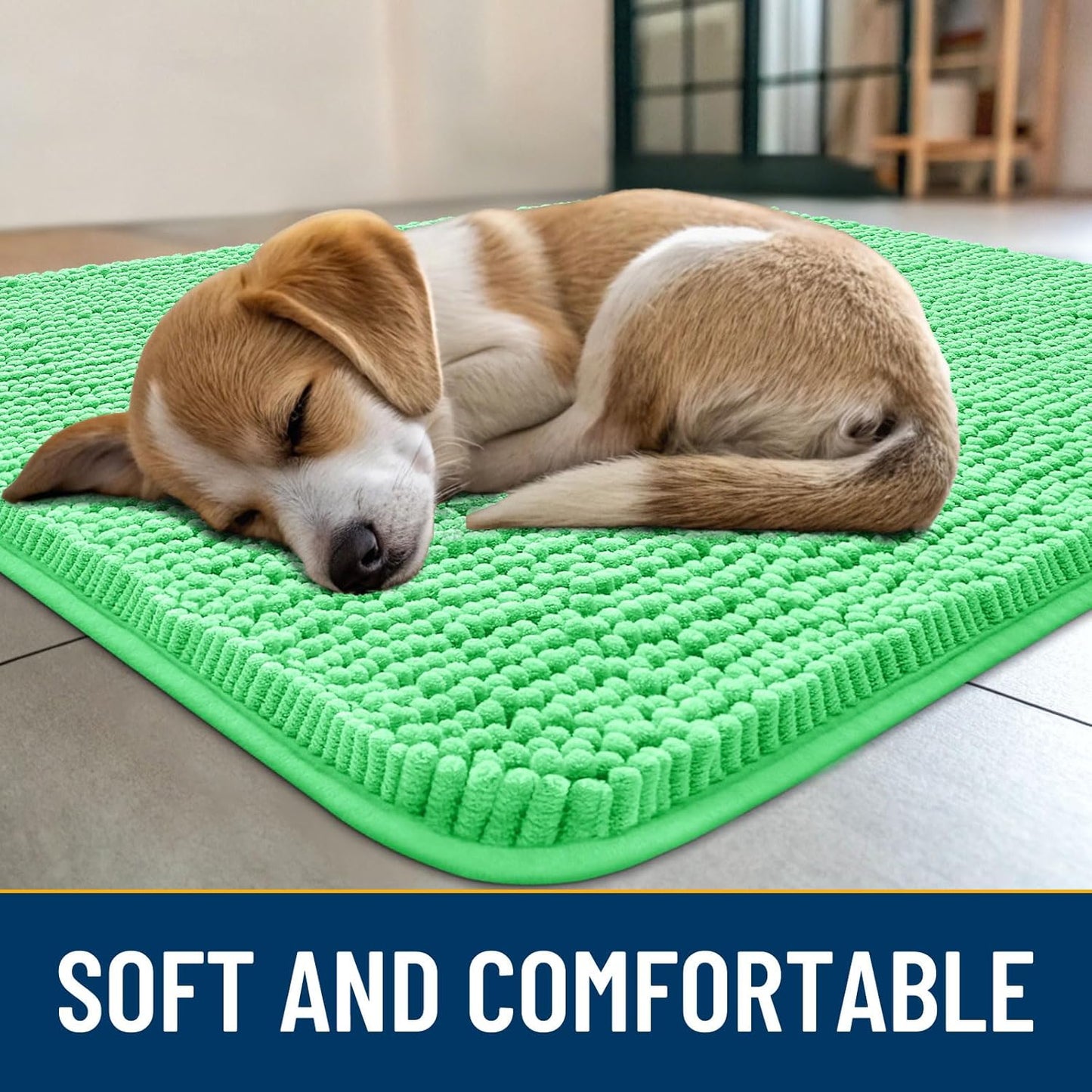Smiry Dog Door Mat for Muddy Paws 36x24, Absorbs Moisture and Dirt Doormat, Non-Slip Washable Quick Dry Chenille Front Door Mat Indoor Entrance, Entryway Carpet for Inside Floor, Mint Green