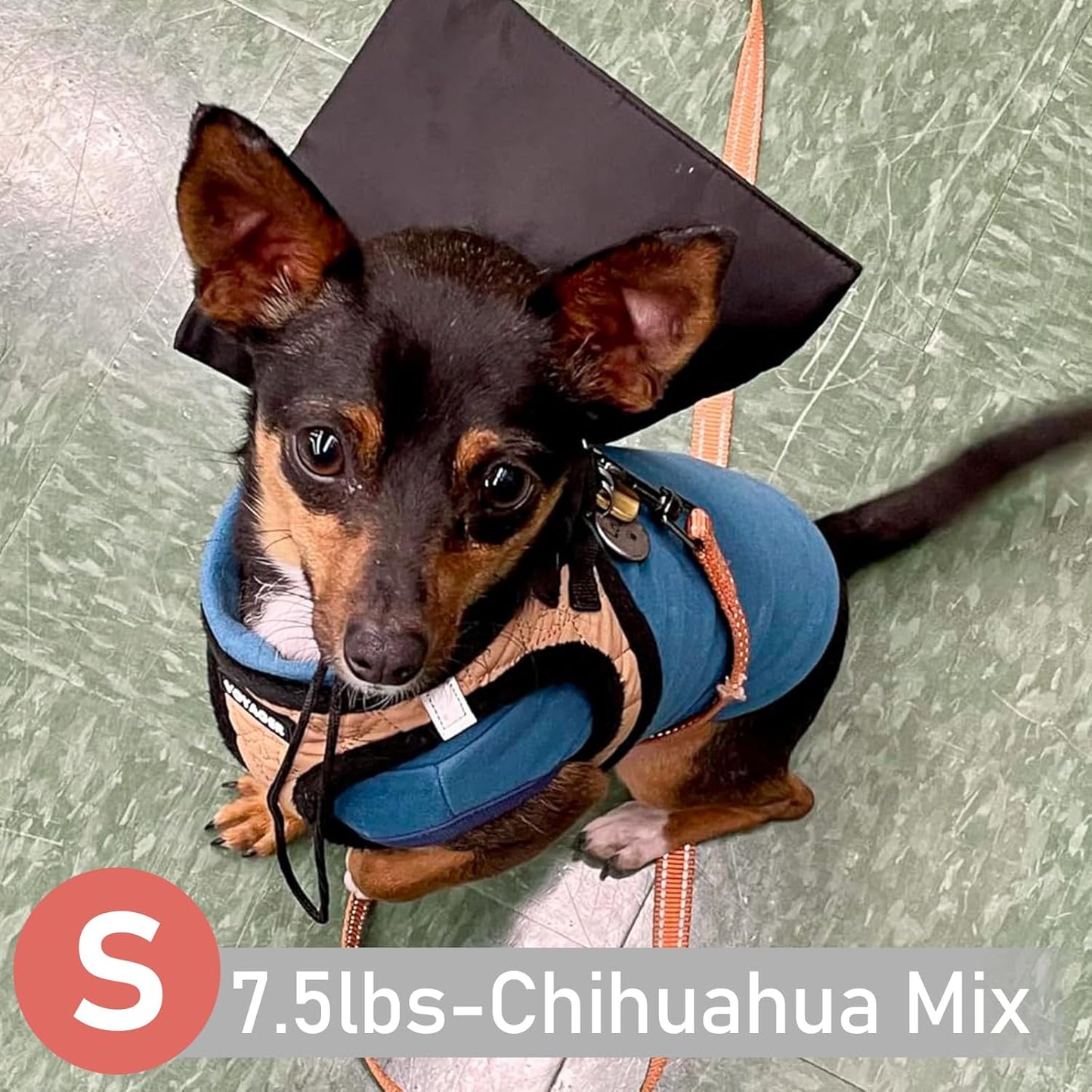 KYEESE 2Pack Dog Sweater Warm Pets Coats Soft Dog Sweaters for Small Dogs Male Stretchy Dogs Clothes Turtleneck Small Pet Sweaters Pullover Pets Sweatshirt