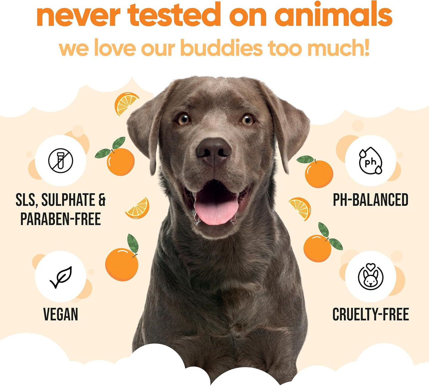 Orange Dog Shampoo by Buddycare | Deep Cleansing Shampoo for Dogs | Orange Scented | with Aloe Vera and Pro Vitamin B5 (16.9oz)