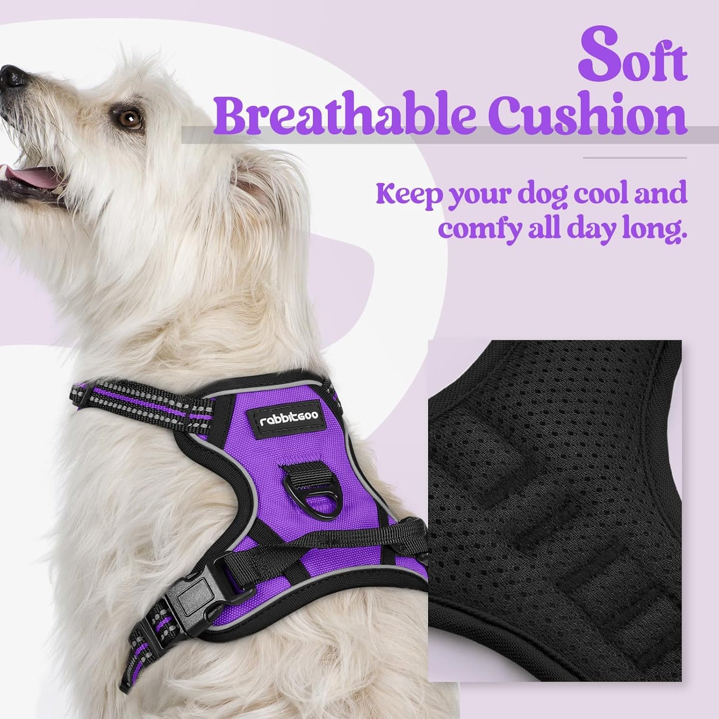 rabbitgoo Dog Harness No Pull with 2 Leash Clips, Adjustable Soft Padded, Reflective Oxford No Choke Pet Vest with Easy Control Handle for Puppy, Purple,XS