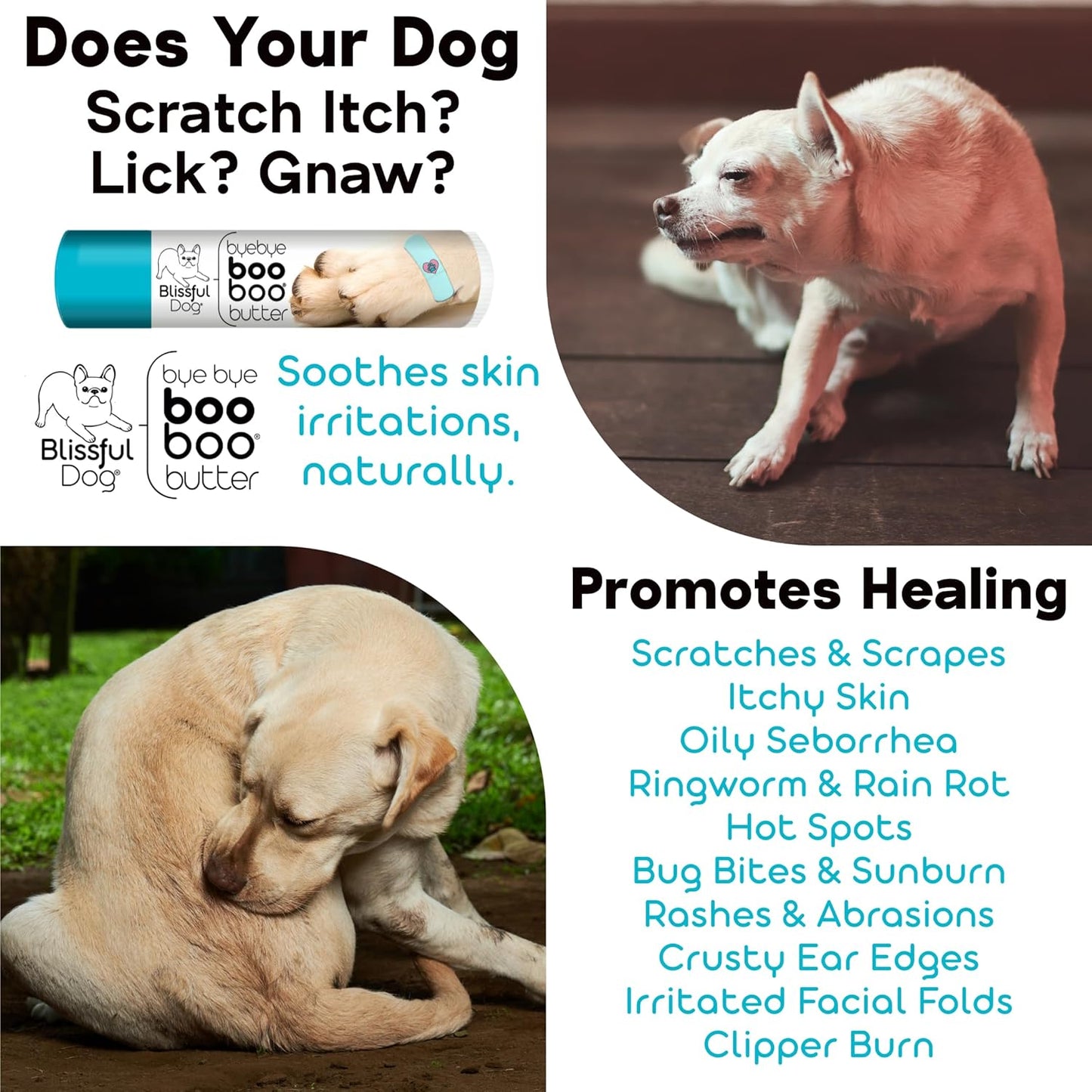 The Blissful Dog Curly-Coat Retriever Boo Boo Butter, 1-Ounce