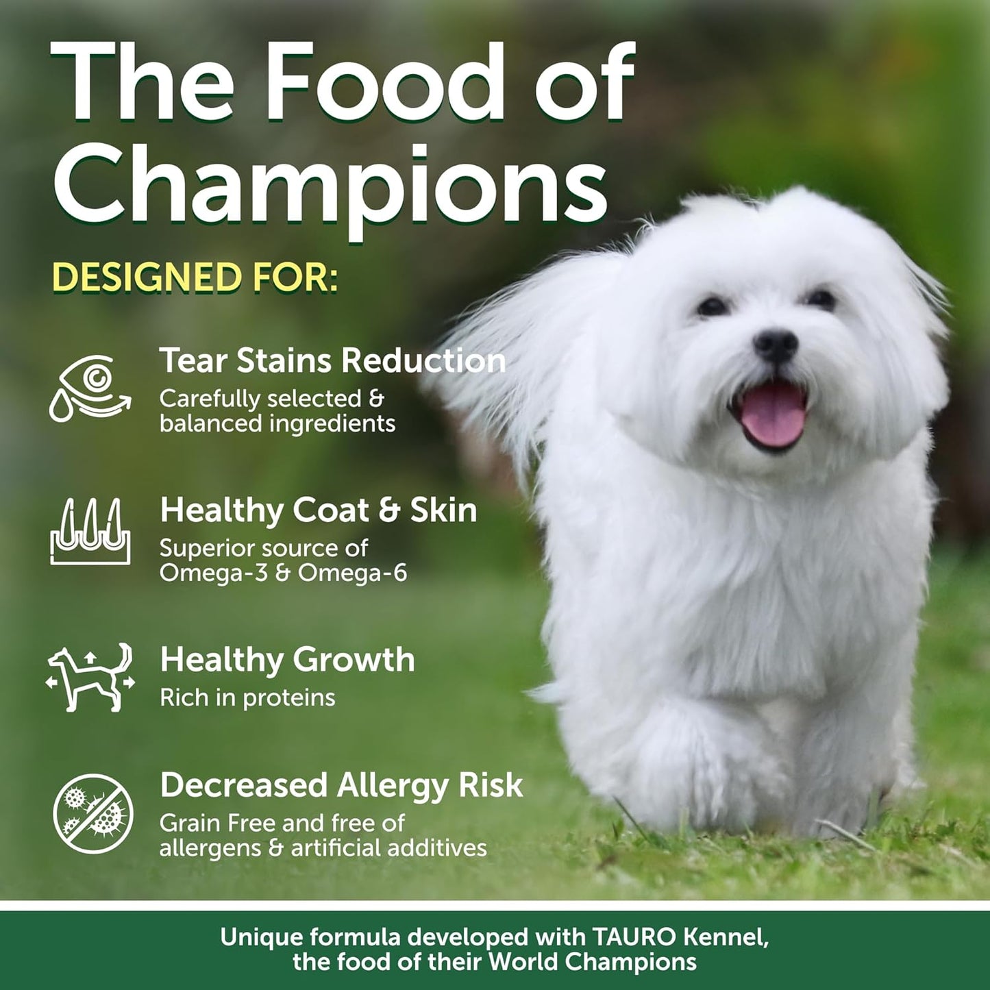 Nature's Protection Dry Dog Food for Small Breed - High Protein, Grain-Free Tear Stain Dog Kibble for White & Light Coated Adult Dogs (Superior Care - Salmon, 3.3 lb)