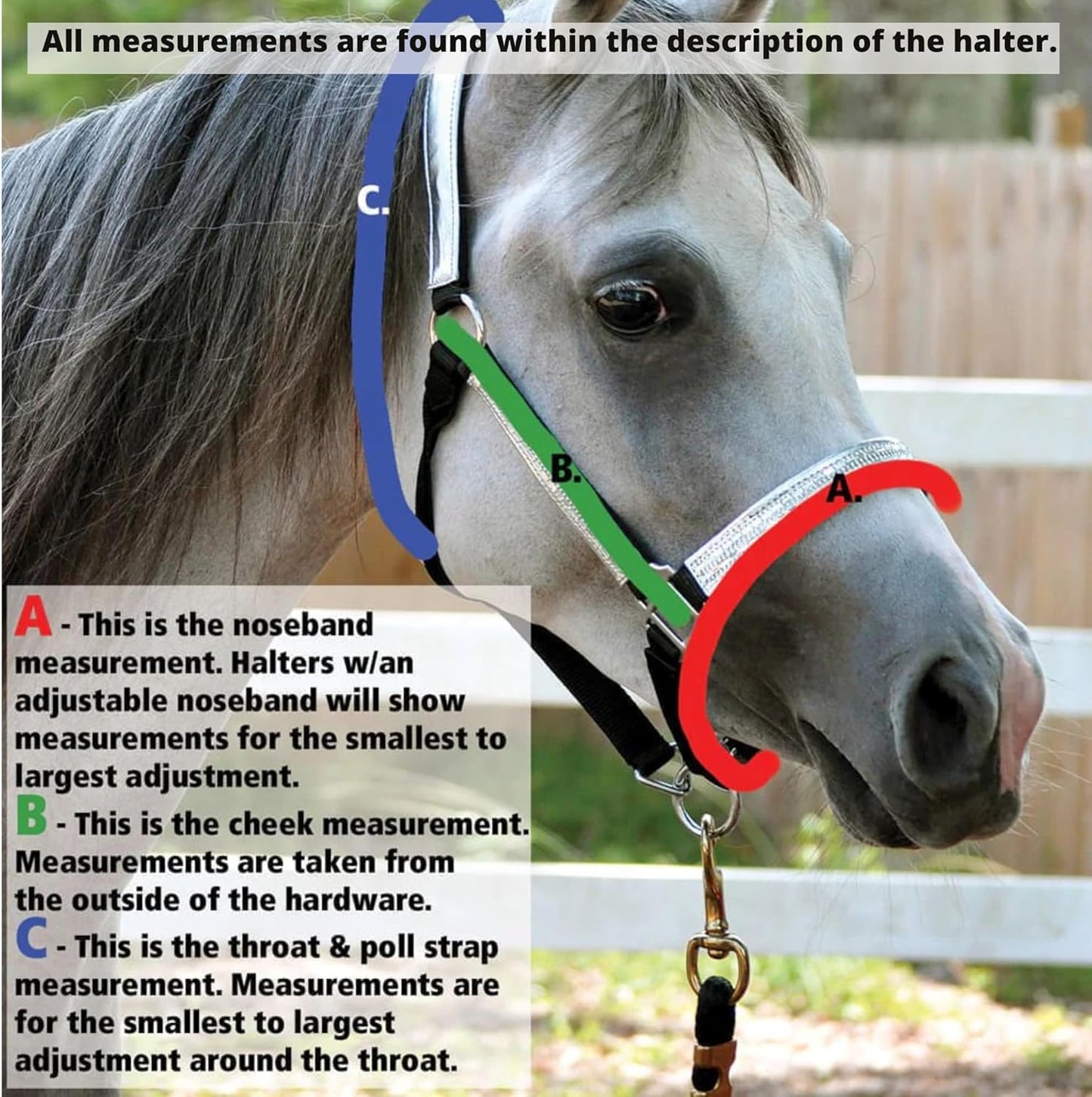 Jeffers Equine Mini Horse Halter – 3/4" Nylon Adjustable Halter for Miniature Horses, Ponies, Under 300 lbs – Heavy Duty Hardware, Secure Fit for Training, Turnout, Grooming, Travel – Black