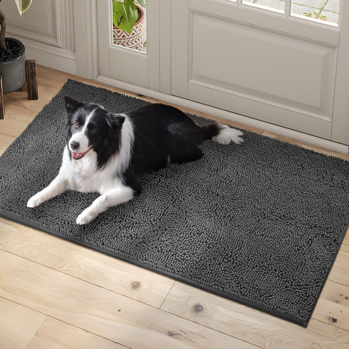 Dog Door Mat Indoor Entrance, 60" x 36" Absorbent & Quick-Drying Mud Rugs, Non-Slip Door Rugs for Entryway Indoor Washable, Soft Chenille Dog Mat for Muddy Paws