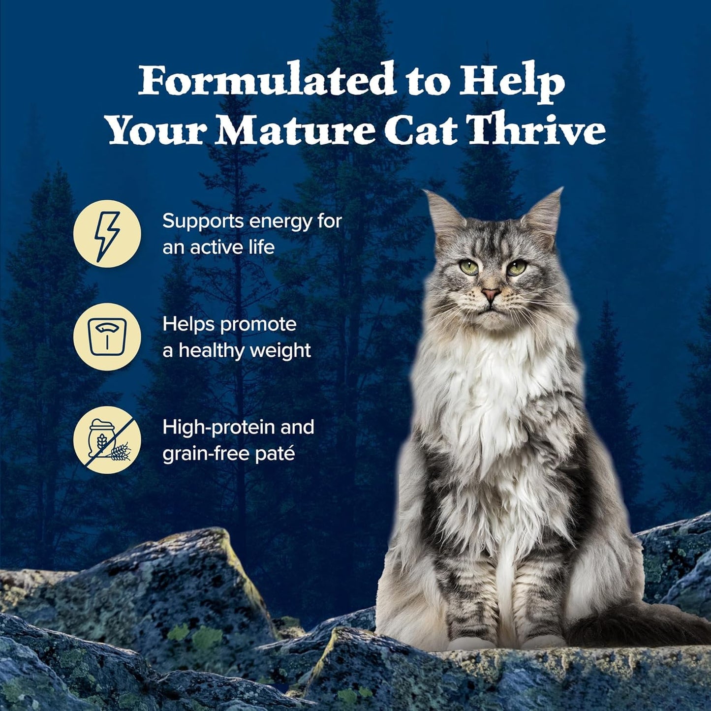 Blue Buffalo Wilderness High Protein Grain Free, Natural Mature Pate Wet Cat Food, Chicken 5.5-oz cans (Pack of 24)