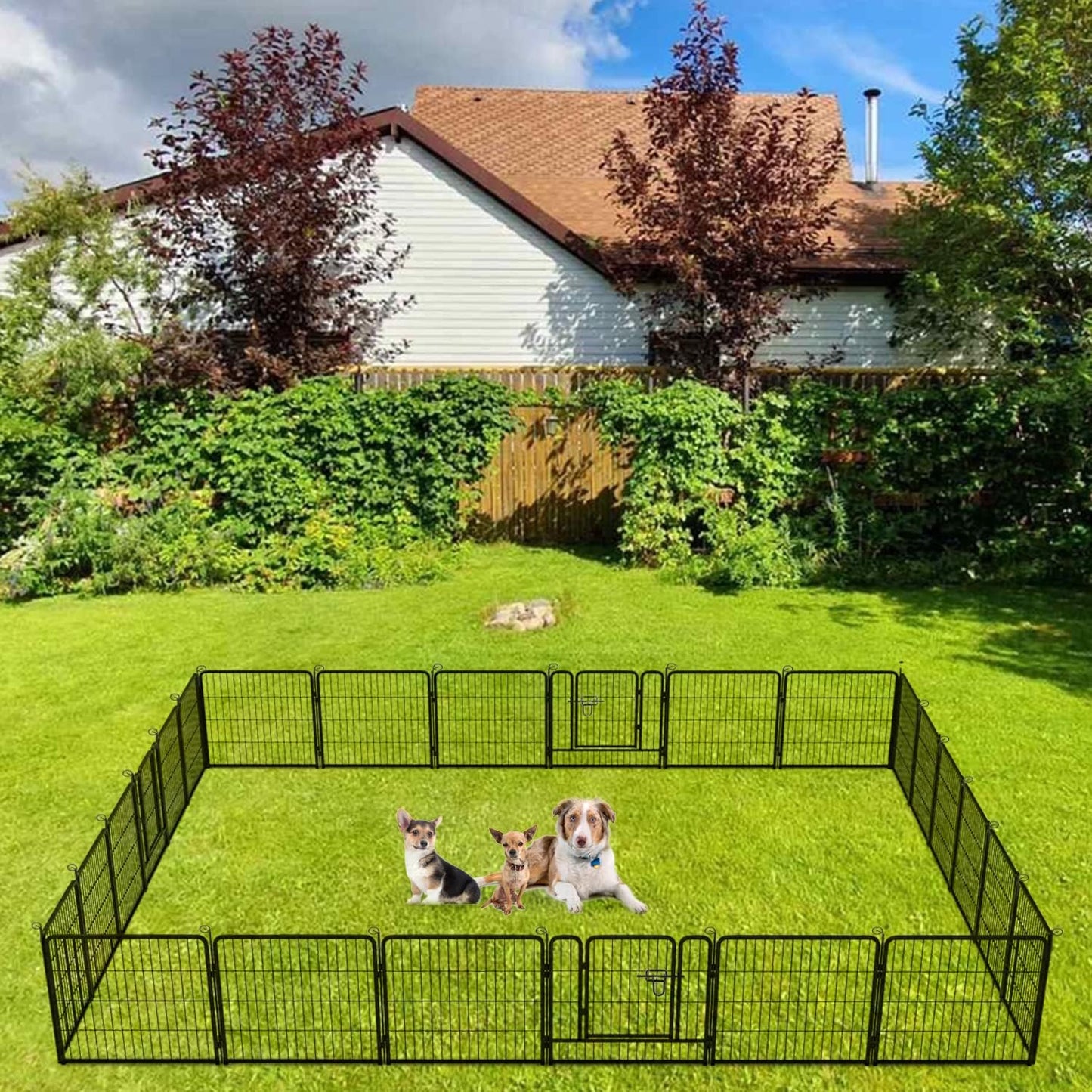 BestPet | Dog Playpen | 24 Inch, 24 Panels | Heavy Duty Metal Pet Exercise Pen | Indoor Outdoor Fence Panels | Rust-Resistant, Removable, Tool-Free Setup | Anti-Skid, Expandable Design