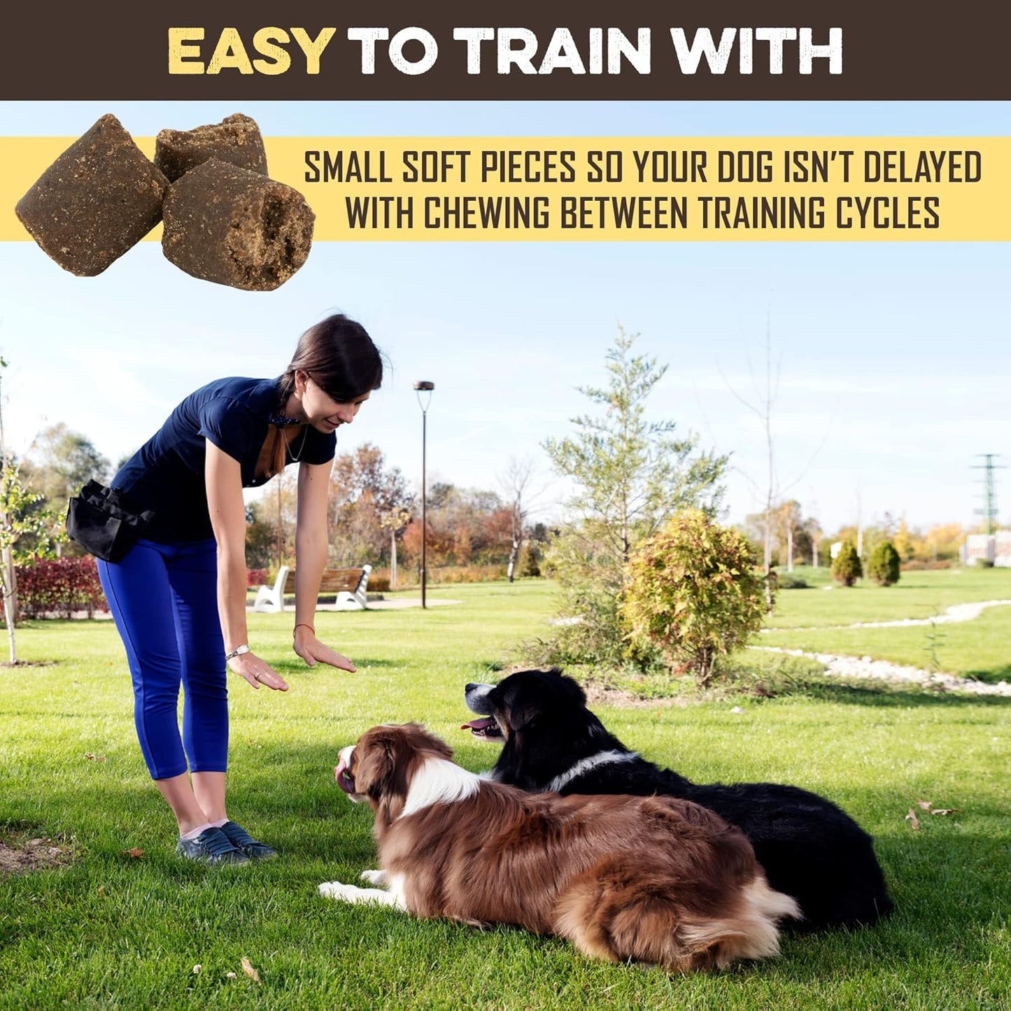 Training Treats for Dogs - Peanut Butter & Banana - All-Natural Healthy Low Calorie Vegan Dog Training Treats - Great to Use for Rewards in Training Your Puppy Or Dog