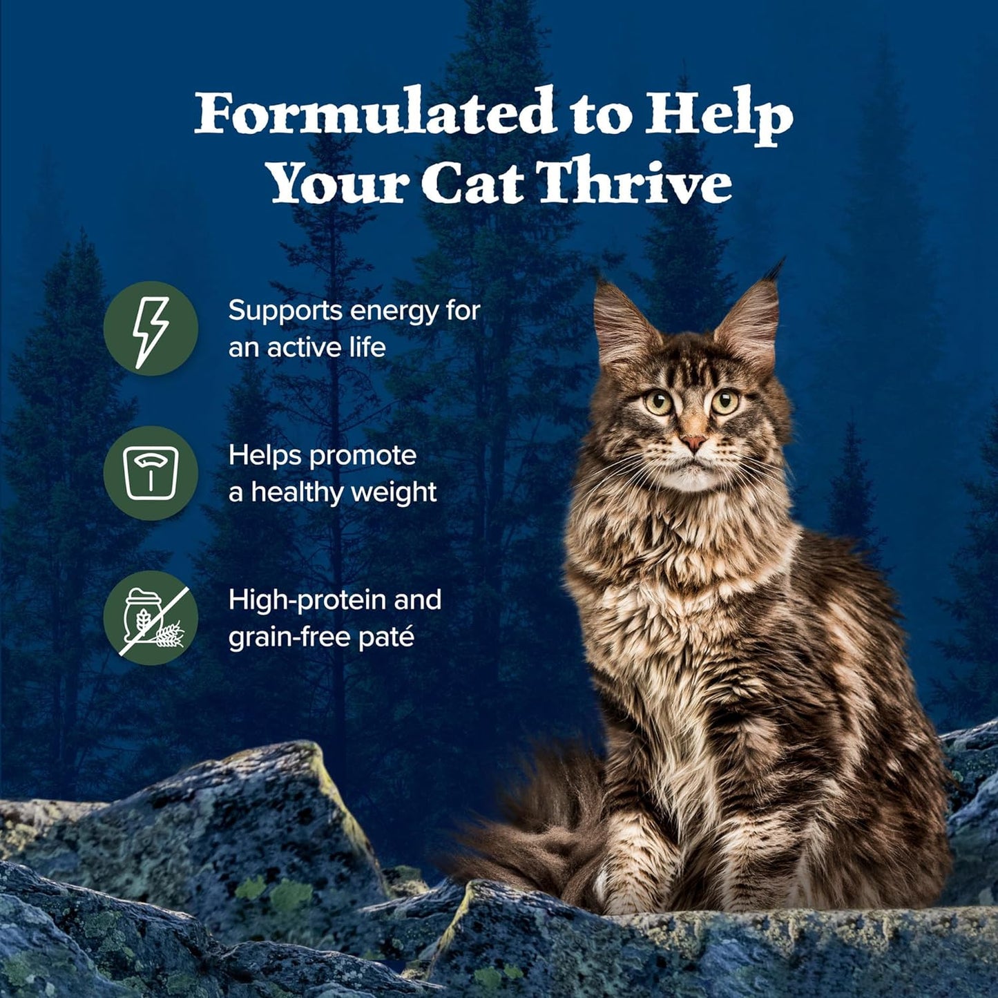 Blue Buffalo Wilderness Natural High-Protein Grain-Free Wet Food for Adult Cats, Duck Paté, 3-oz. Cans, 24 Count