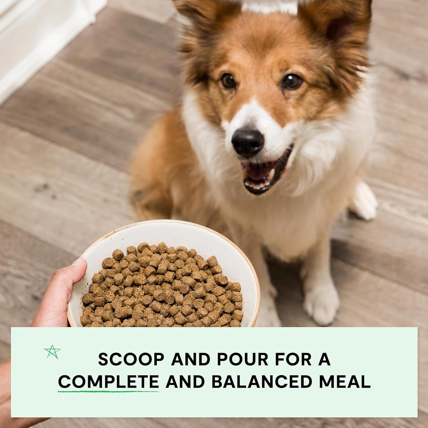 Open Farm, Grain-Free Dry Dog Food, Complete & Balanced Kibble, Sustainably & Ethically Sourced Ingredients, Non-GMO Veggies & Superfoods, Catch-of-The-Season Whitefish Recipe, 22lb Bag
