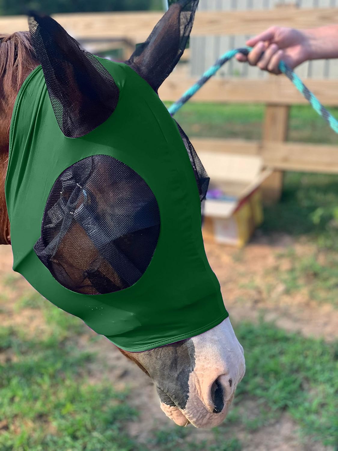 Horse Fly Mask - Arab Equine Fly Mask with Full Coverage for Eye & Ear - Stretchable, UV & Sun Protection Flymask for Horses, Ponies & Mini Horses - Horse Face Cover for Pasture & Trail - Green