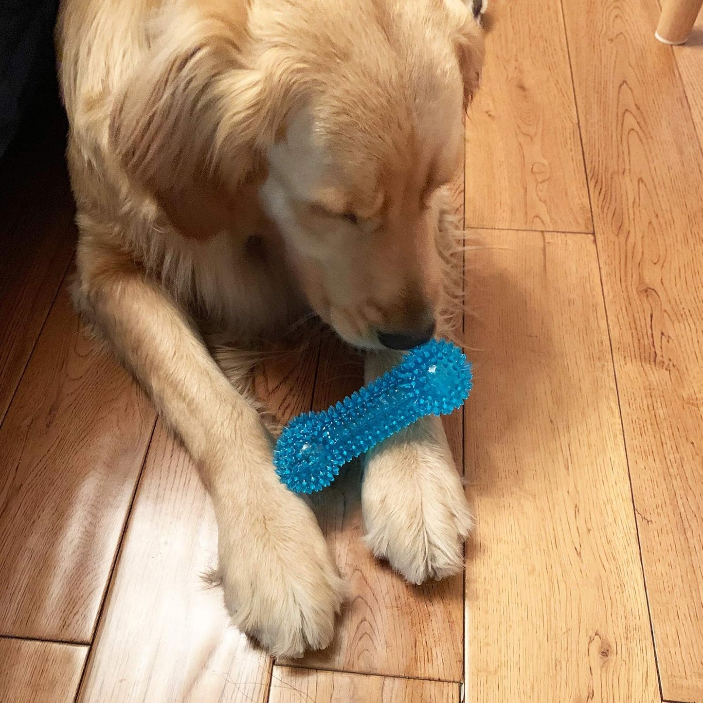 Jalousie Dog Squeaky Toys Value Set Non-Toxic Squeaky Balls Toss Fetch TPR Rubber Puppy Toys Spikey Dog Chew Toy for Small Medium Breed Pet Toys for Puppy (6 Pack Assorted)