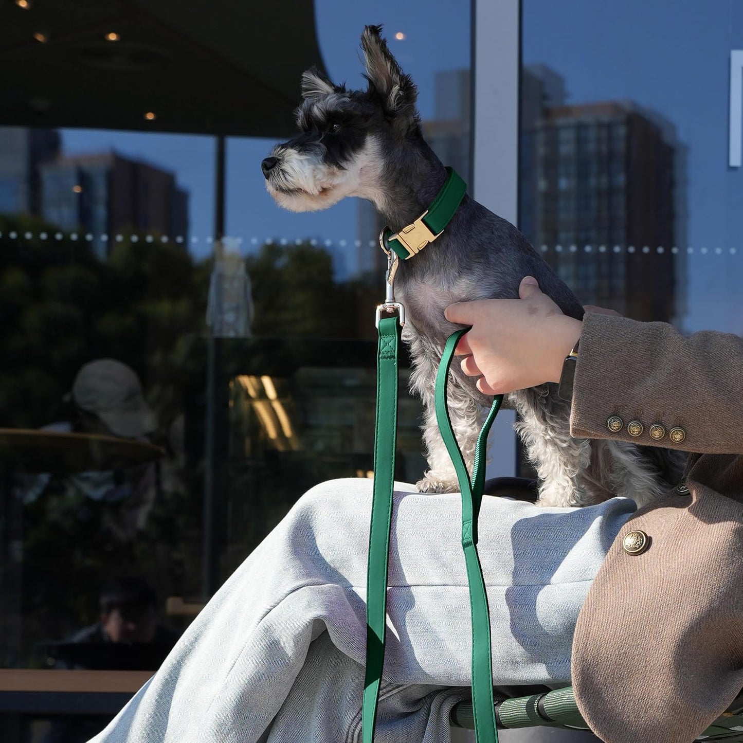 PET ARTIST Soft PU Leather Dog Collar, Bright Color & Durable Dog Collar Leather with Rose Gold Quick Release Metal Buckle, Adjustable Nylon Padded Pet Collars for Medium Dogs, Neck Fit 13-19"