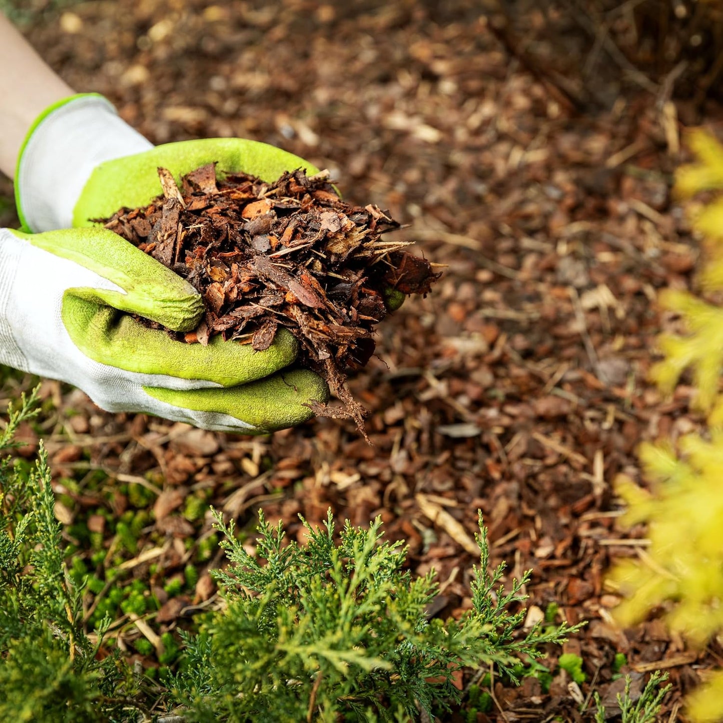 Premium Brown Wood Mulch for Landscaping, Gardens, Lawns, Potting Media, and Potted Plants (1 CF - 28 L - 30 QTS)