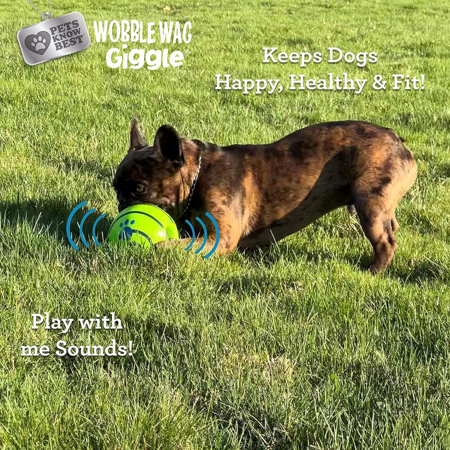 Wobble Wag Giggle Ball | Rolling Enrichment Toy for Fun Playtime, Interactive Play for Indoor or Outdoor, Keeps Dogs & Puppies Large, Medium or Small Busy & Moving, As Seen on TV | Pack of 1