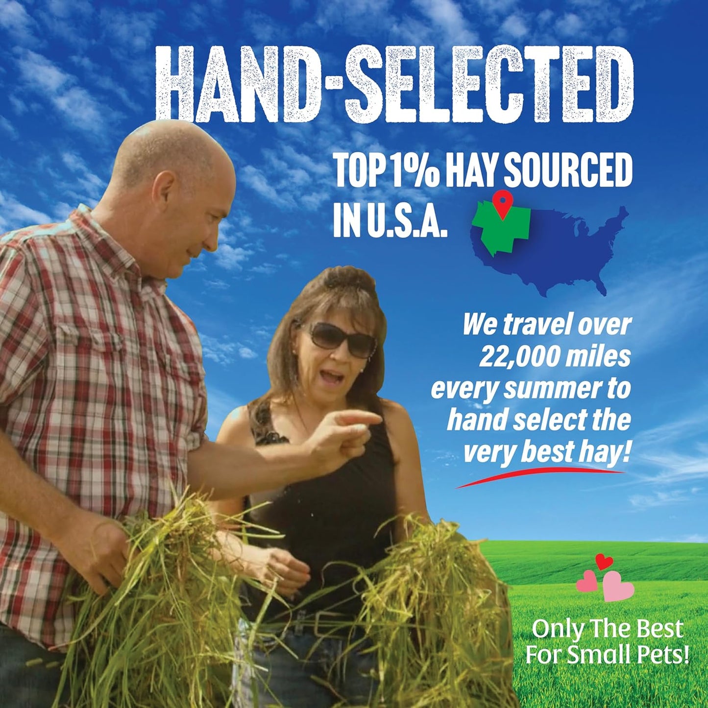 Small Pet Select Oat Hay Pet Food, 2 Lb.